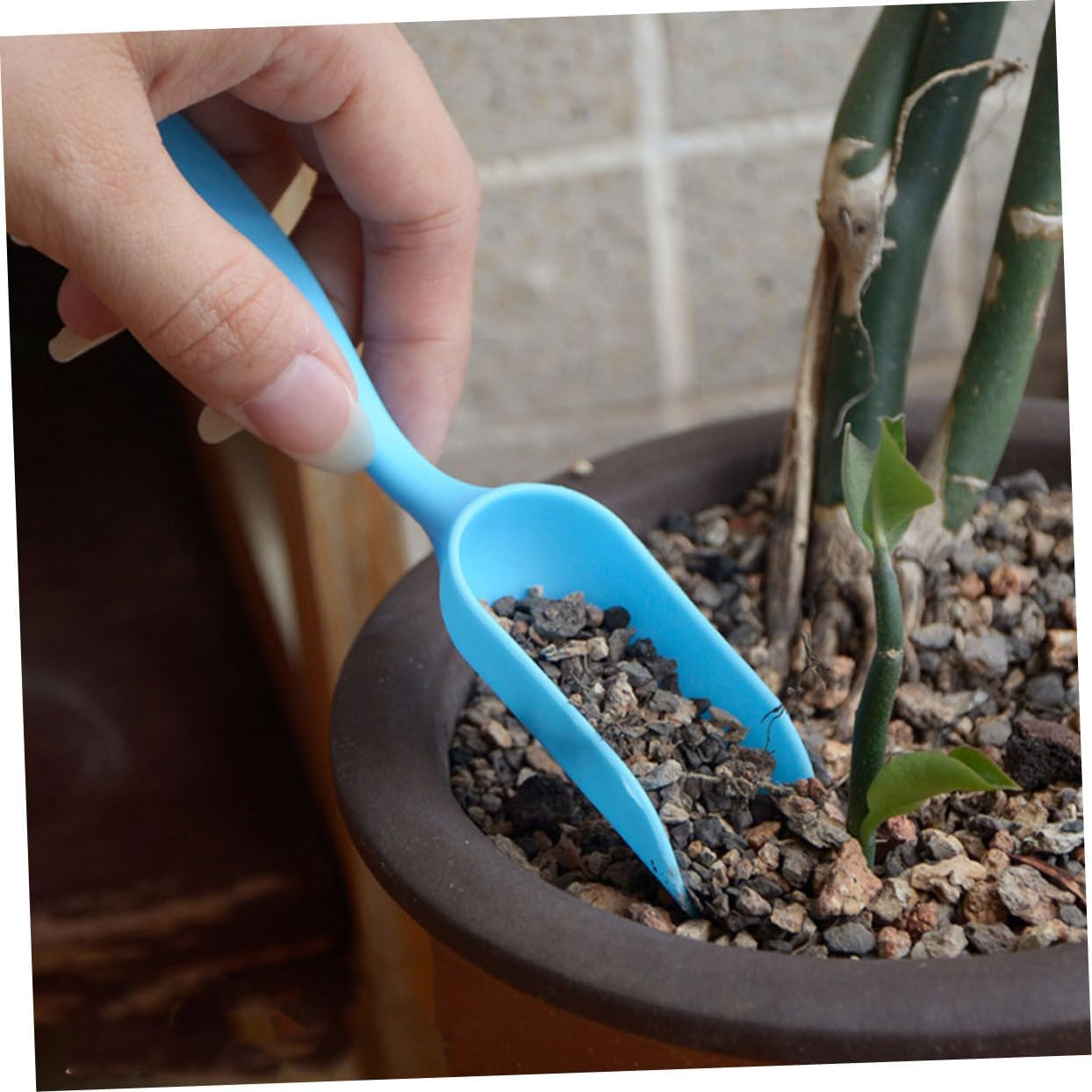 Toddmomy 1Set Garden Tool for Planting and Transplanting Gardening Accessories Includes Puncher and Scoop for Spaces and Care