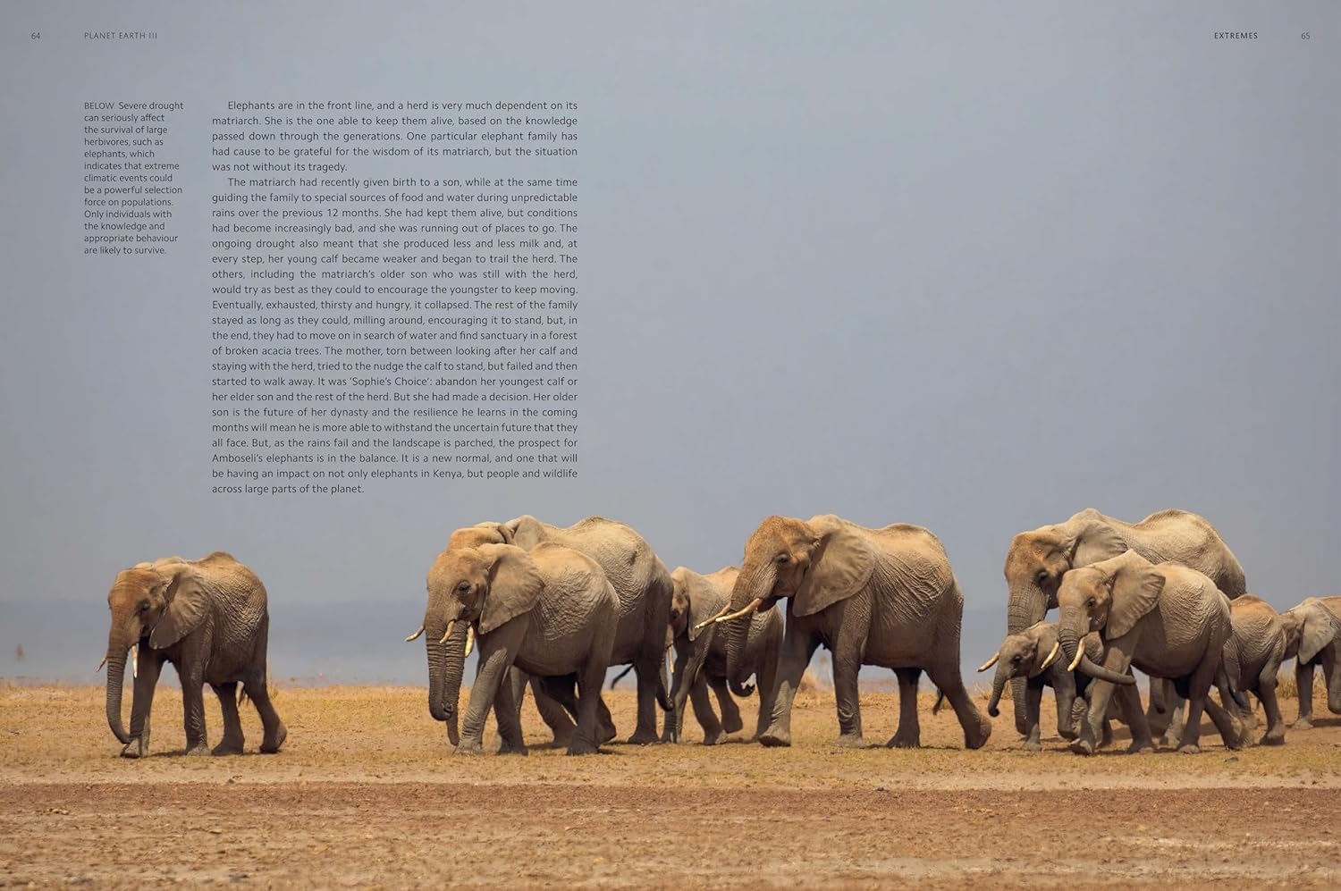 Planet Earth III: Accompanies the Landmark Series Narrated by David Attenborough image number 6