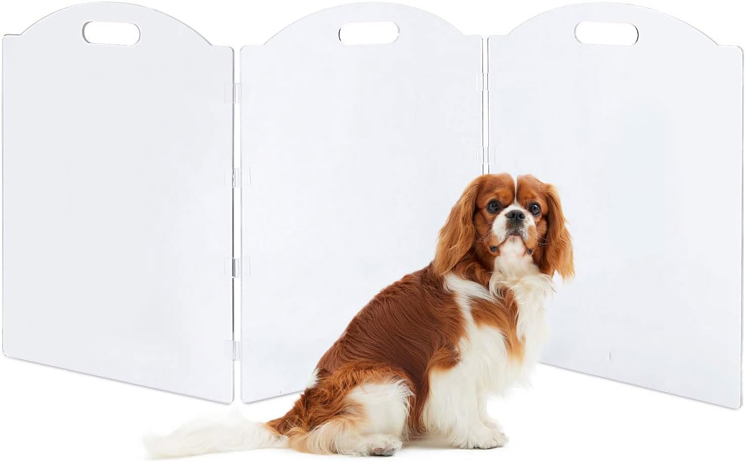 QYINXIU Acrylic Dog Playpen, 3 Panels Foldable Clear Dog Gate Indoor with Handles, Free-Standing Pet Fence for Doorways Dog Pen for Medium Dogs Puppy Cat Rabbit Accessories-60X24Inch image number 4