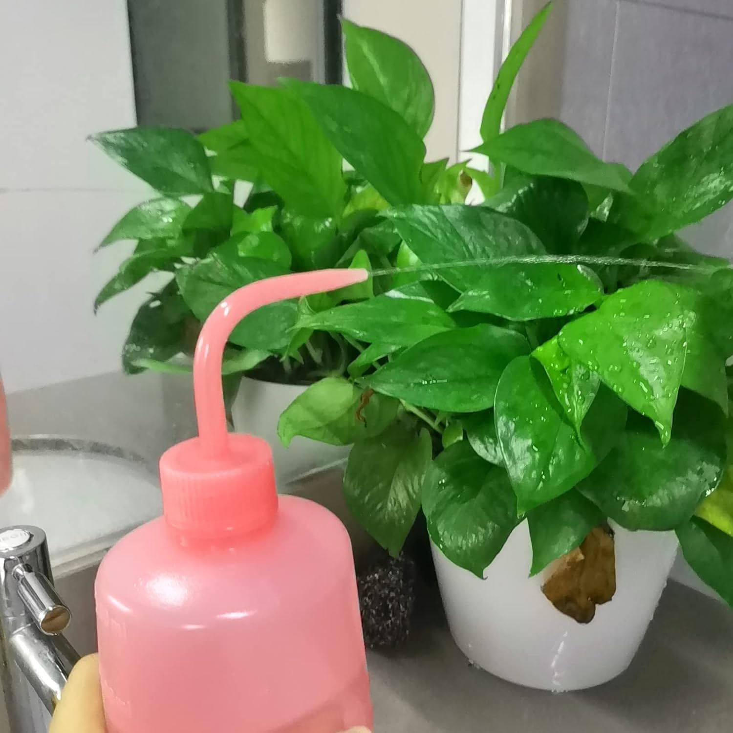 Squeeze Bottle Plant Watering Bottle 500Ml Wash Bottle Squeeze Plastic Small Watering Can for Indoor Plants Succulent Watering Can 2 Pcs (Pink+Blue) image number 2