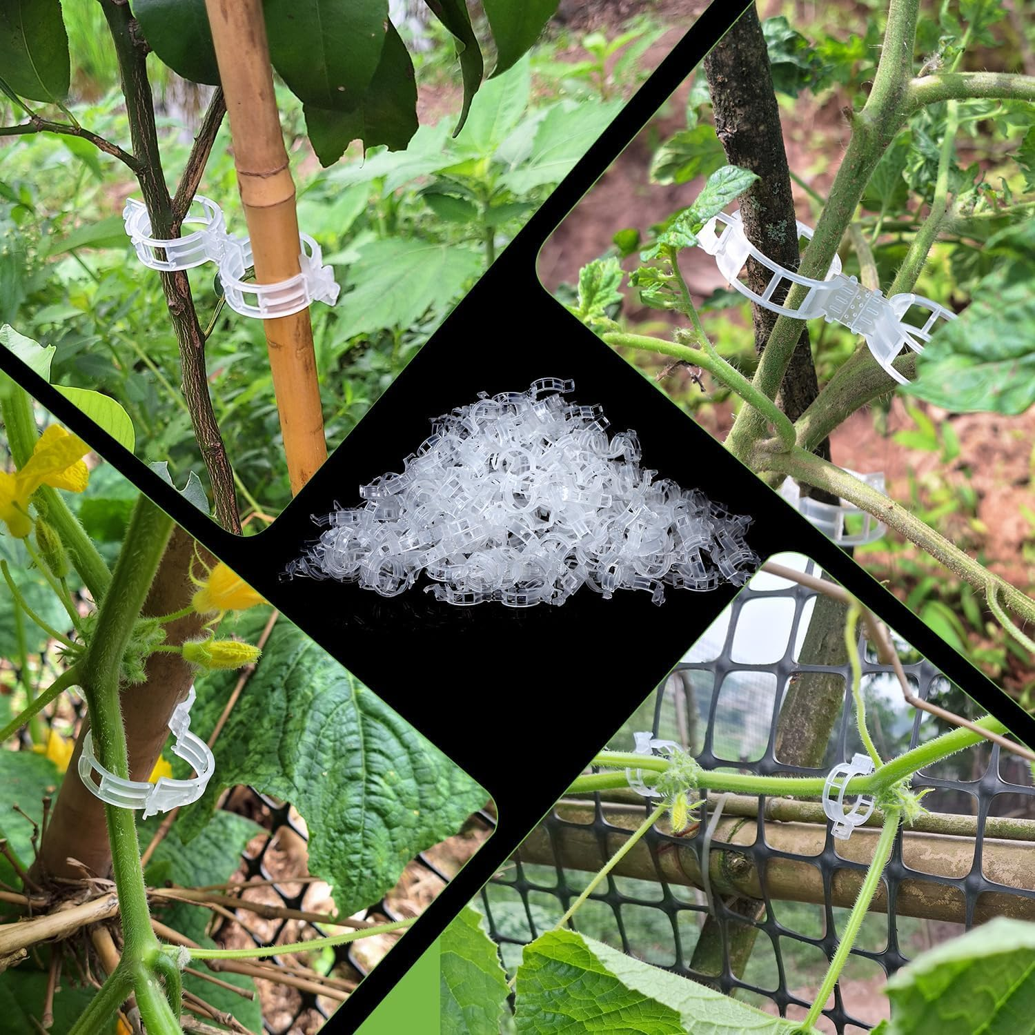 200 Plastic Plant Clips, Upright Growth for Healthier Plants image number 6