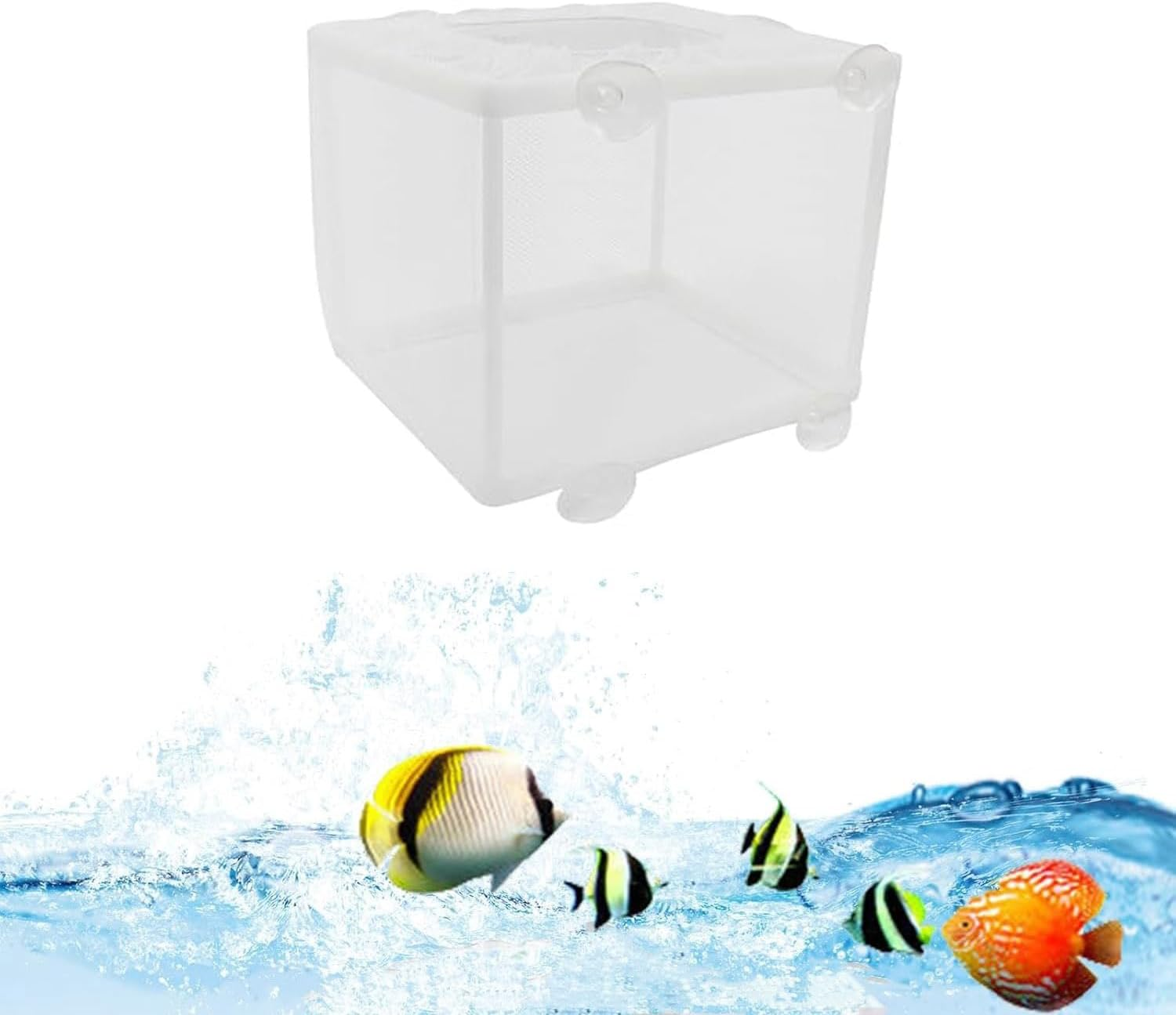 Roczential Fish Breeder Box, Fish Isolation Box Mesh Box, Juvenile Fish Separation Net, Isolating, or Domesticating Fitank Incubator Box, Fish Fry Hatchery with Suction Cups (Large) image number 6