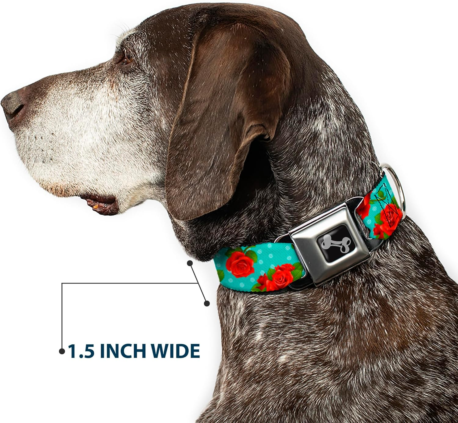 Buckle-Down Seatbelt Buckle Dog Collar - Red Roses/Polka Dots Turquoise - 1" Wide - Fits 11-17" Neck - Medium image number 1