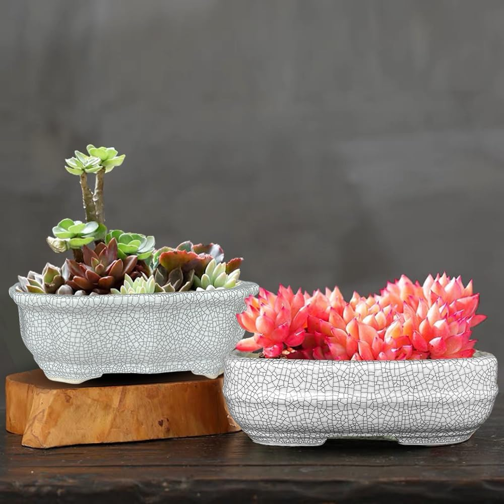 MUZHI 2 Pack Amazing Ice Crack Glazed Ceramic Bonsai Pot White Color 5.8 Inch with Bamboo Tray, Plant Pot Succulent Planter for Office Home Garden Decor Gift image number 6