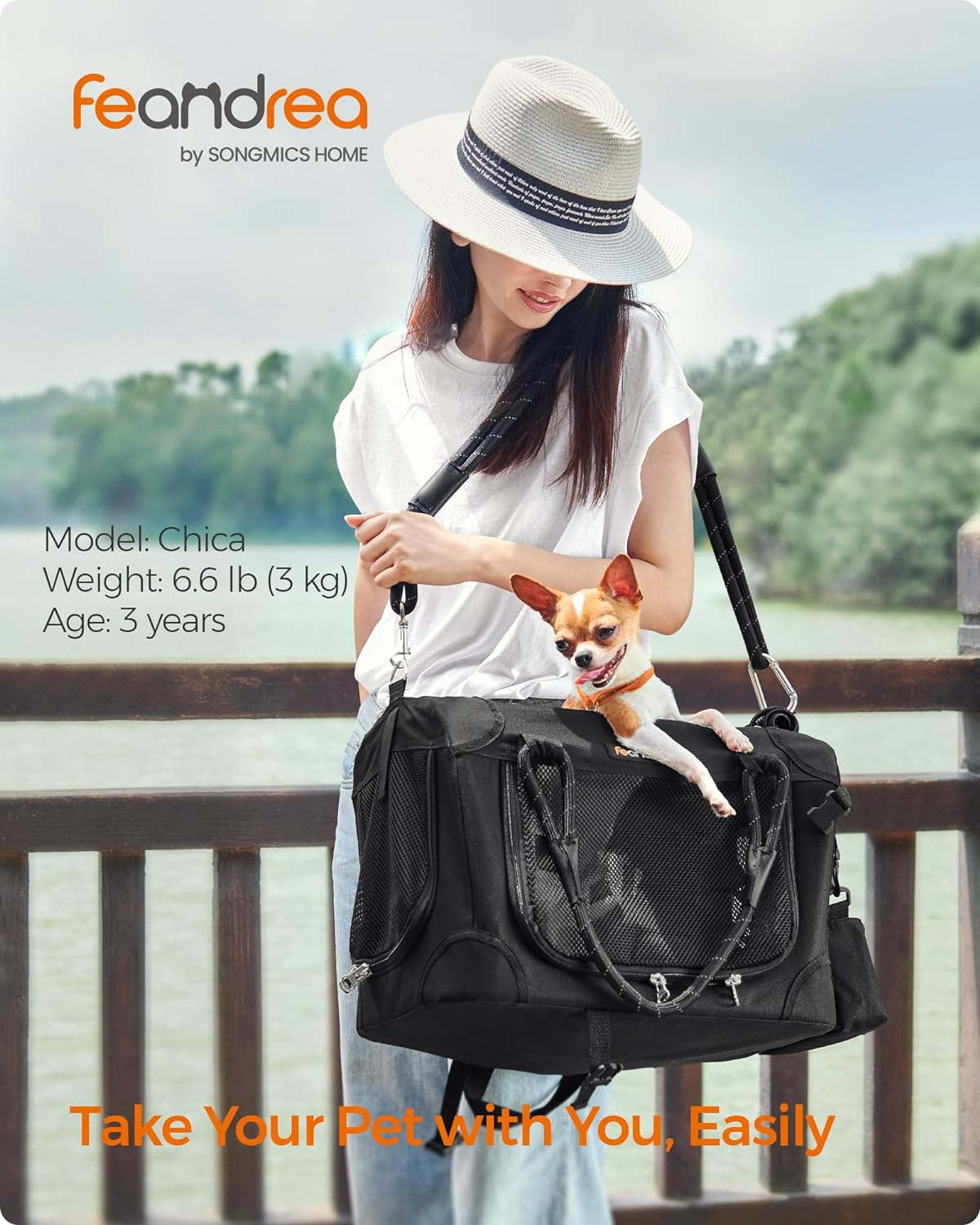 Feandrea Airline Approved Small Dog Carrier, Collapsible Pet Travel Carrier, Size S, with Metal Frame, Leash, Pocket, for Cats and Small Dogs up to 13 Lb, 17 X 12 X 12 Inches, Classic Black UPDC004B01