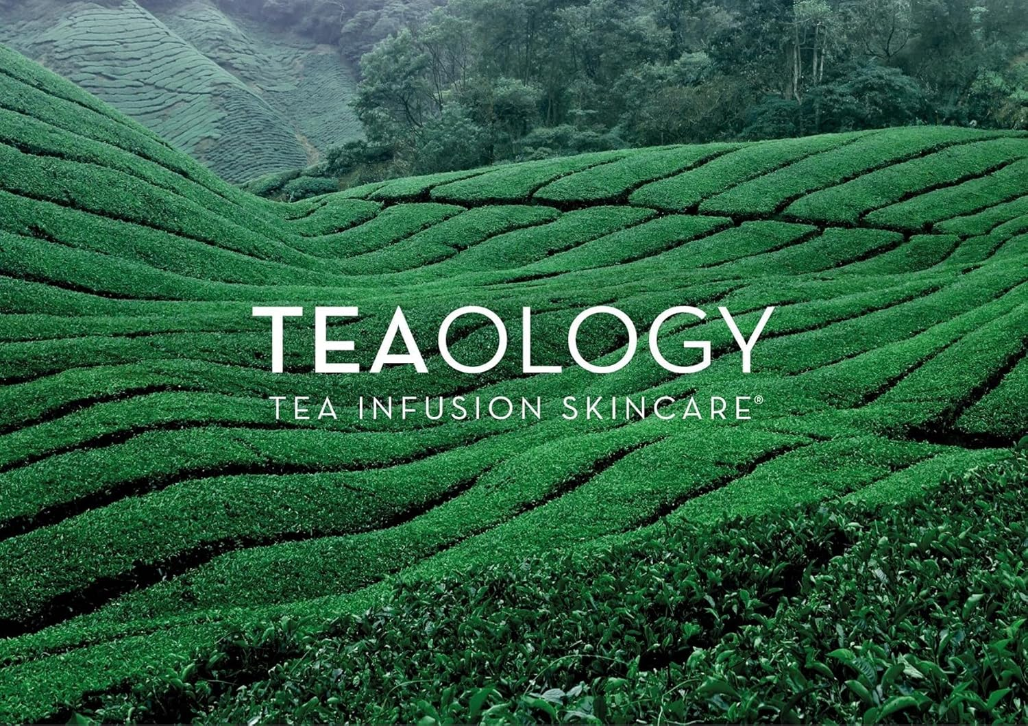 Exfoliating Body Gel Teaology (200 Ml) image number 1