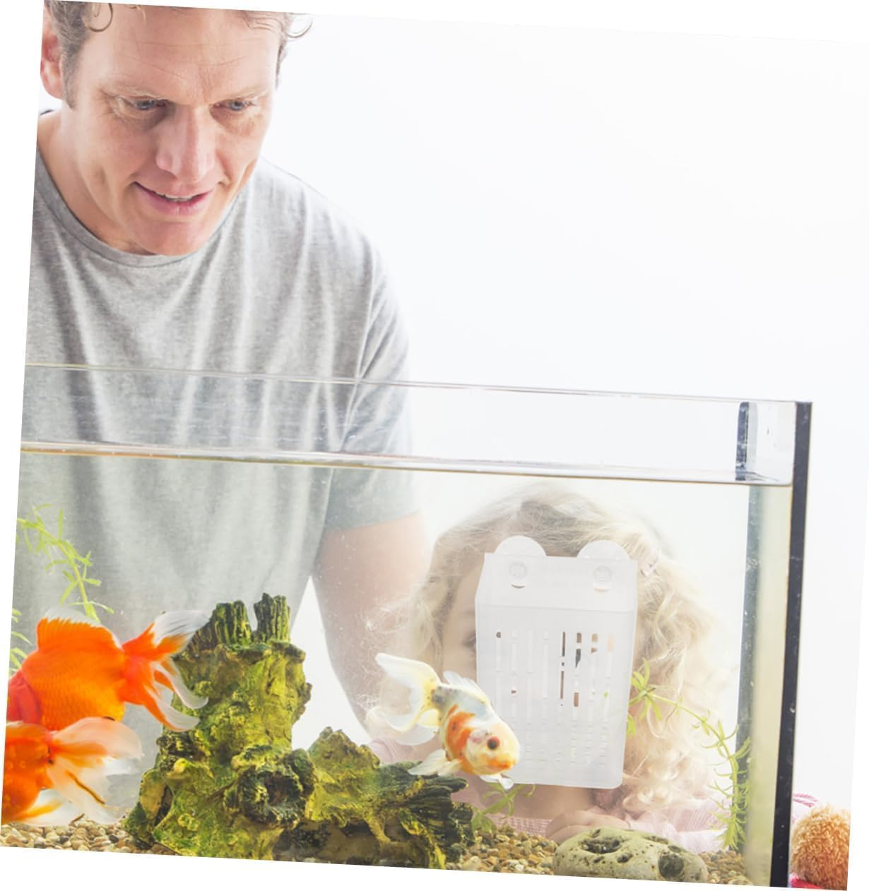 2 Pcs Wezxrauo Aquarium Plant Holder with Suction Cups, Fish Tank Grass Planter for Aquatic Plants, Moss Decor, Underwater Planting Cups for Aquascape Decorations image number 6