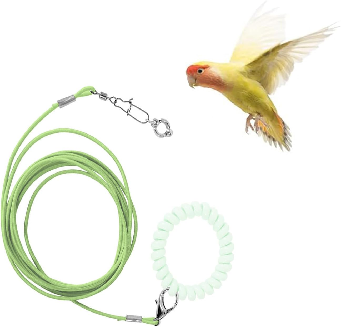 Bird Foot Chain - Adjustable Harness and Biting-Resistant Training Toy with Ankle Ring - Pet Outdoor Flying Rope for Terrace (Green) image number 1