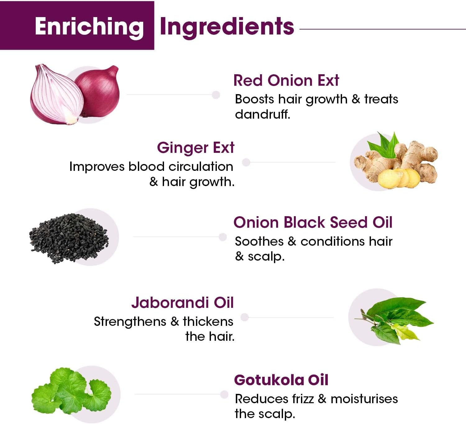 TAC - the Ayurveda Co. Onion Hair Oil for Hair Growth with Black Seed, Plant Derived Biotin for Hair Fall Control, Mineral Oil Free - 100Ml image number 5