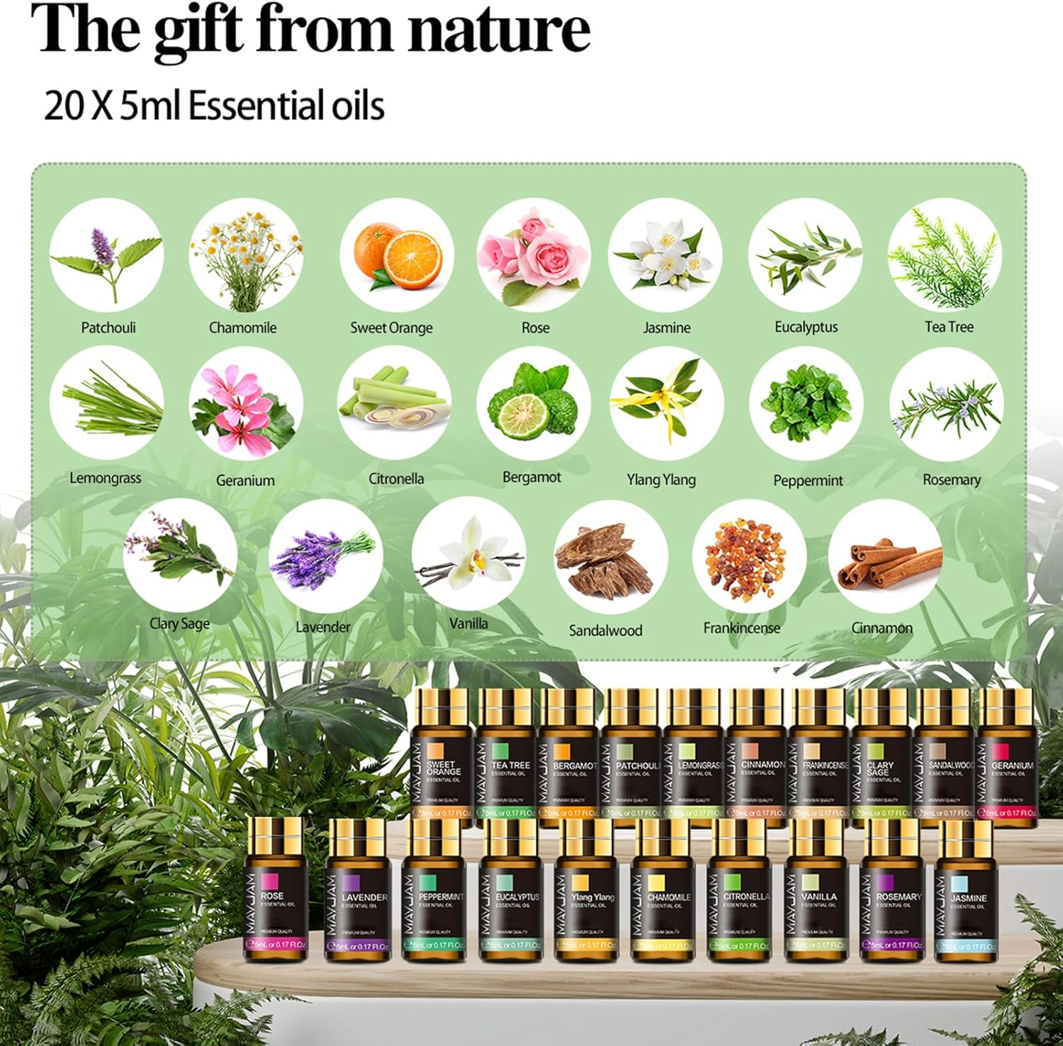 MAYJAM Top 20 Essential Oil Set, 20 Pack/5Ml Pure Essential Oils for Diffusers, Soap Candle Making, Beautifully Thoughtful Essential Oils Gift Set for Any Occasion image number 5