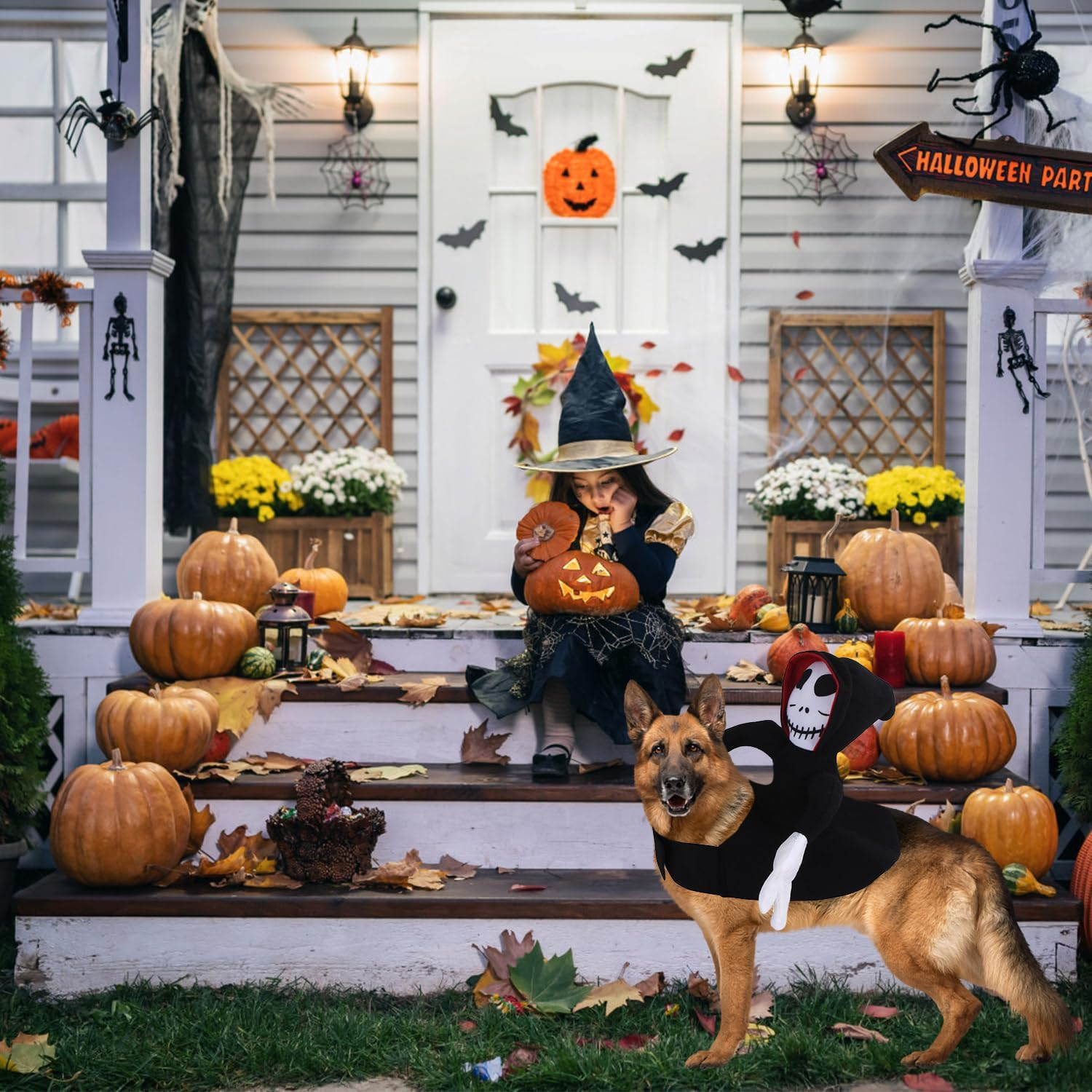 Rider Dog Costume, Dog Costume Halloween, Halloween Pets Party Cosplay Clothing, Pet Dogs Halloween Rider Costume, Ghost Rider, Halloween Grim Reaper Dog Costume (L)