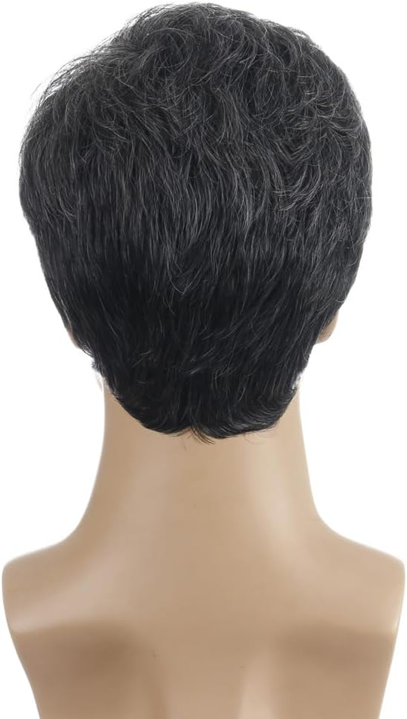 AUBWIG Men'S Black Brown Mixed Light Blonde Wigs Short Hair with Blonde Strands Natural Smooth Fluffy with Fringe Tiered Synthetic Wig for Male Everyday Use image number 2