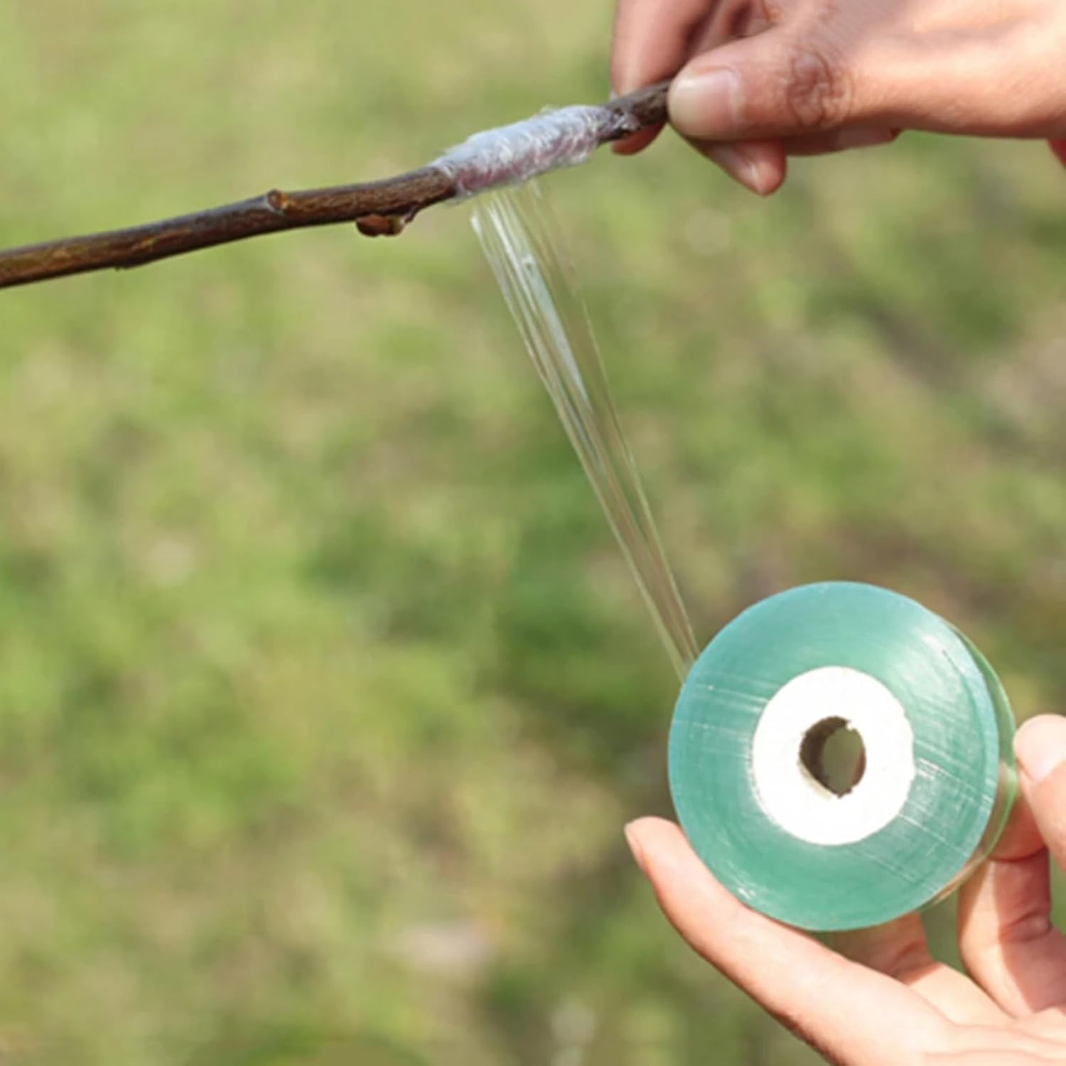 PVC Fruit Tree Parafilm Grafting Tape Nursery Buddy Tape Grafting Garden Secateurs Engraft Branch Gardening Tool 2Cmx100M Green