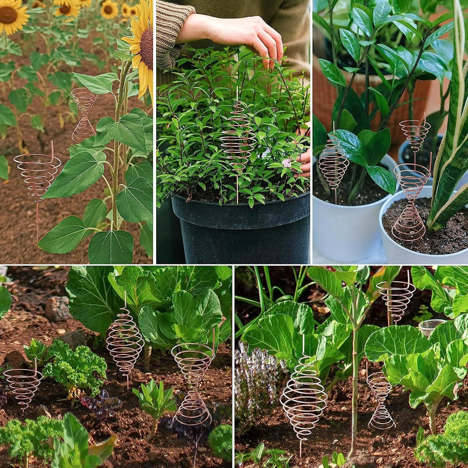 2 Pcs Fibonacci Coil Winding Jig - for Electroculture Copper Gardening Antenna, Upgraded Electro Culture Gardening Antenna Wire Antenna Jig, Copper Garden Tools (Small and Large) image number 2