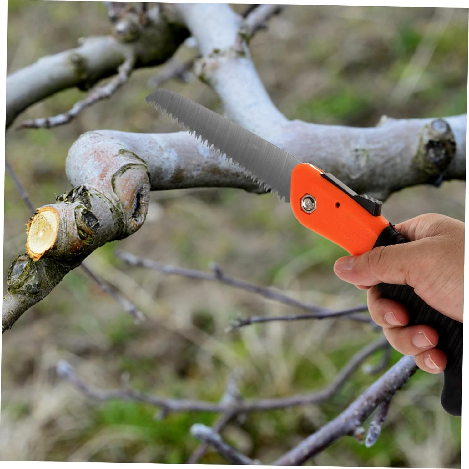 BCOATH Folding Pruning Saw Impact Hardened Blade for Dry Wood Cutting Versatile Woodworking Hand Saw for Camping Gardening and DIY Projects image number 2