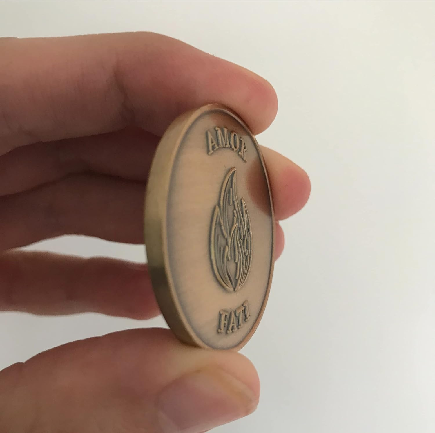STOIC STORE UK Amor Fati Coin- Brass Reminders for Its Principles - Stoic Coin - Challenge Coin for Daily Stoic Practice and Journaling image number 6