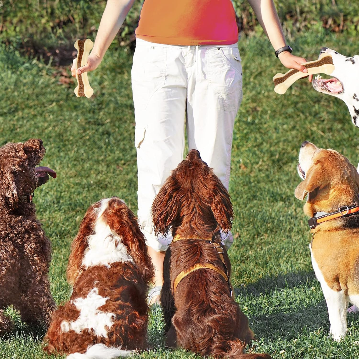 Dog Toys for Aggressive Chewers, 2 Pack Nylon Durable Dog Bones with Real Beef Flavor for Large/Medium/Small Breeds Pet Chew Toys image number 1