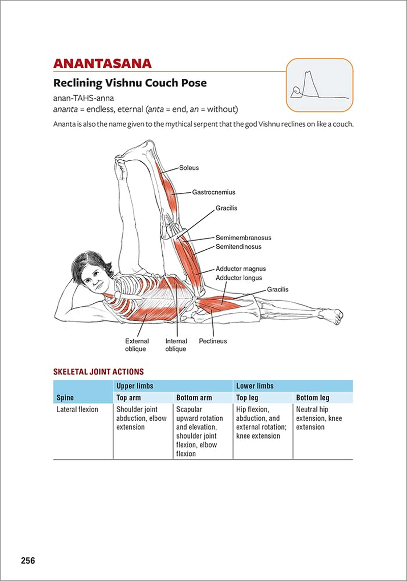 Yoga Anatomy image number 4