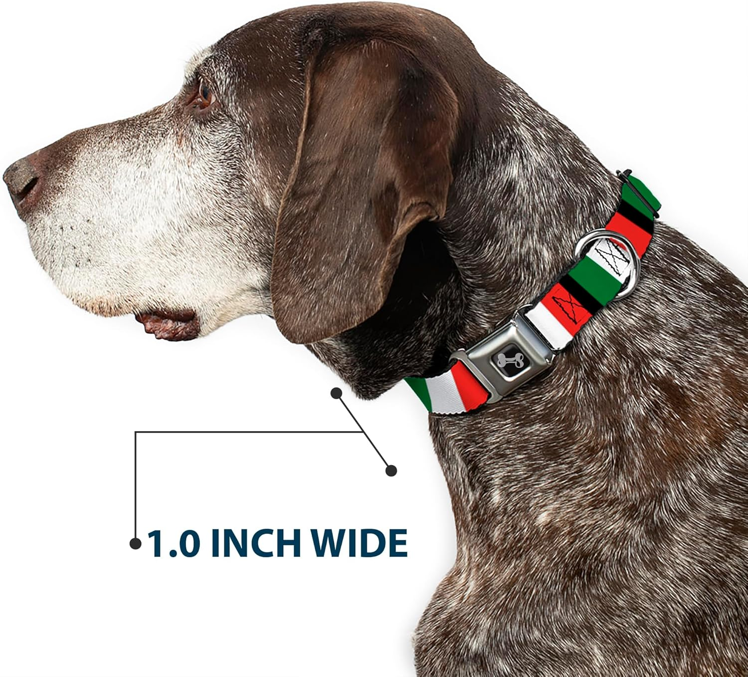 Dog Collar Seatbelt Buckle Italy Flags 11 to 17 Inches 1.0 Inch Wide image number 1