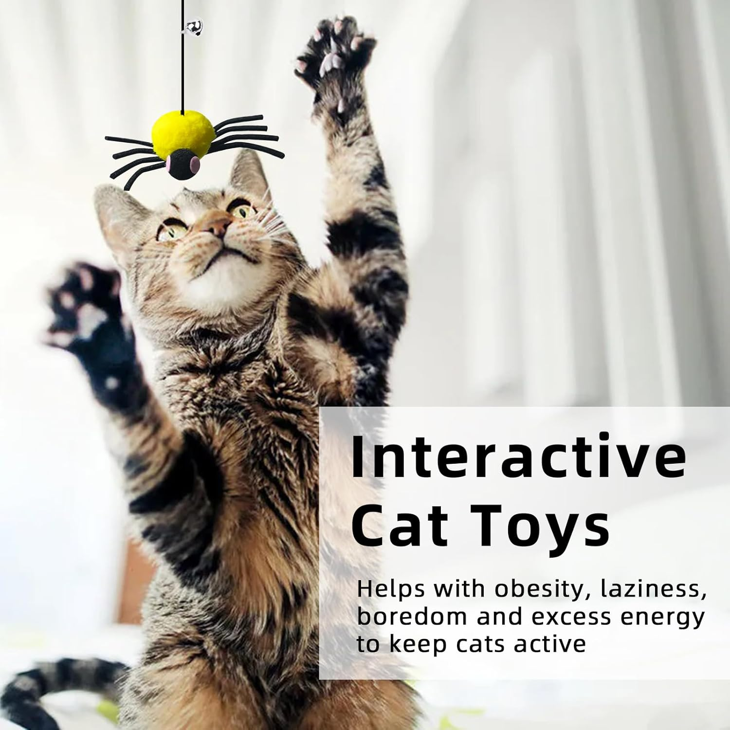 5-Pack Hanging Spider Cat Toys for Indoor Cats - Interactive Self Play Toy with Adjustable String for Door, Hands-Free Exercise & Boredom Relief for Kittens and Adult Cats image number 1