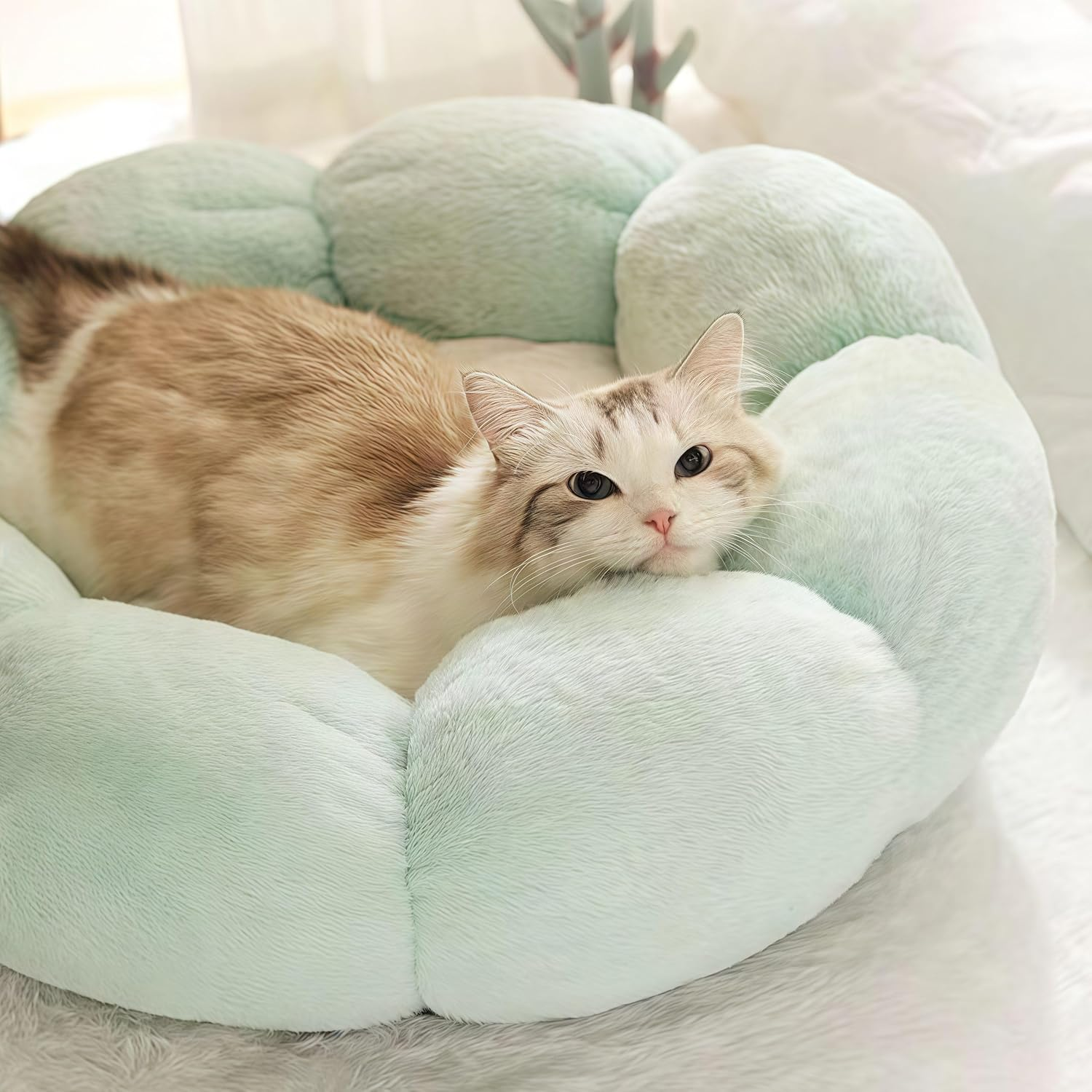 Life'Bea Flower Shaped Pet Bed for Cats & Small Dogs - Cozy & Calming Plush Cushion, Soft Rabbit Fur-Like Fabric, Non-Slip Bottom, Machine Washable - Deep Sleep-Light Green, 55Cm image number 2