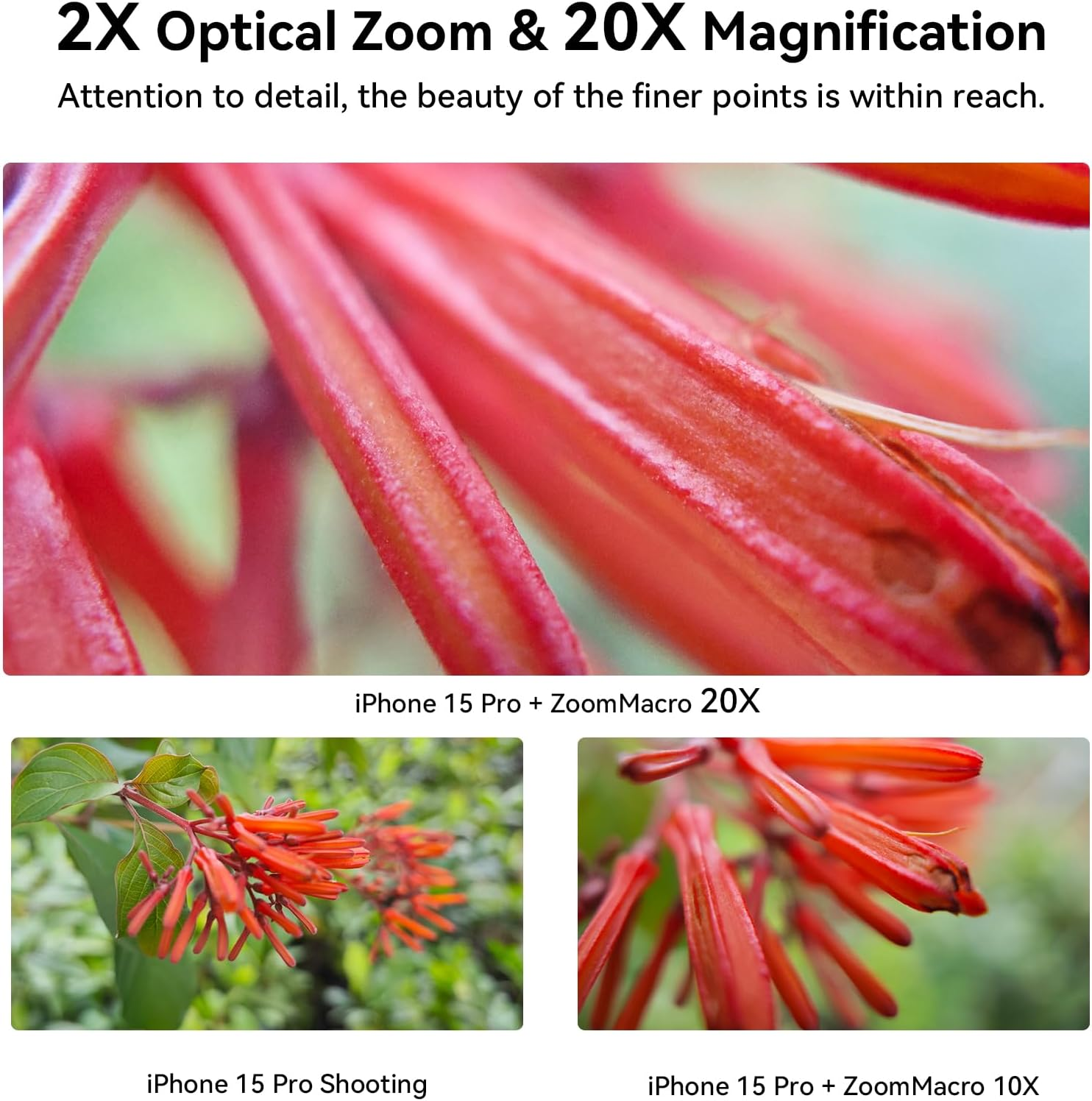 Apexel 10-20X Zoom Macro Phone Lens with Universal Clip, HD Macro Photography Lens for Iphone Android Phone image number 5