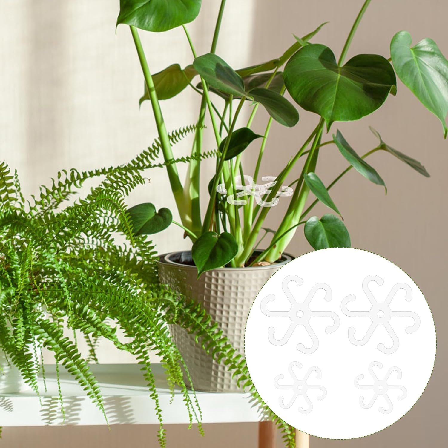 4Pcs Climbing Plant Stem Supports with Holes, 2 Sizes Flower Plant Stem Hooks Trellis Plant Stem Support Hooks Climbing Rack for Vertical Growth (Transparent) image number 5