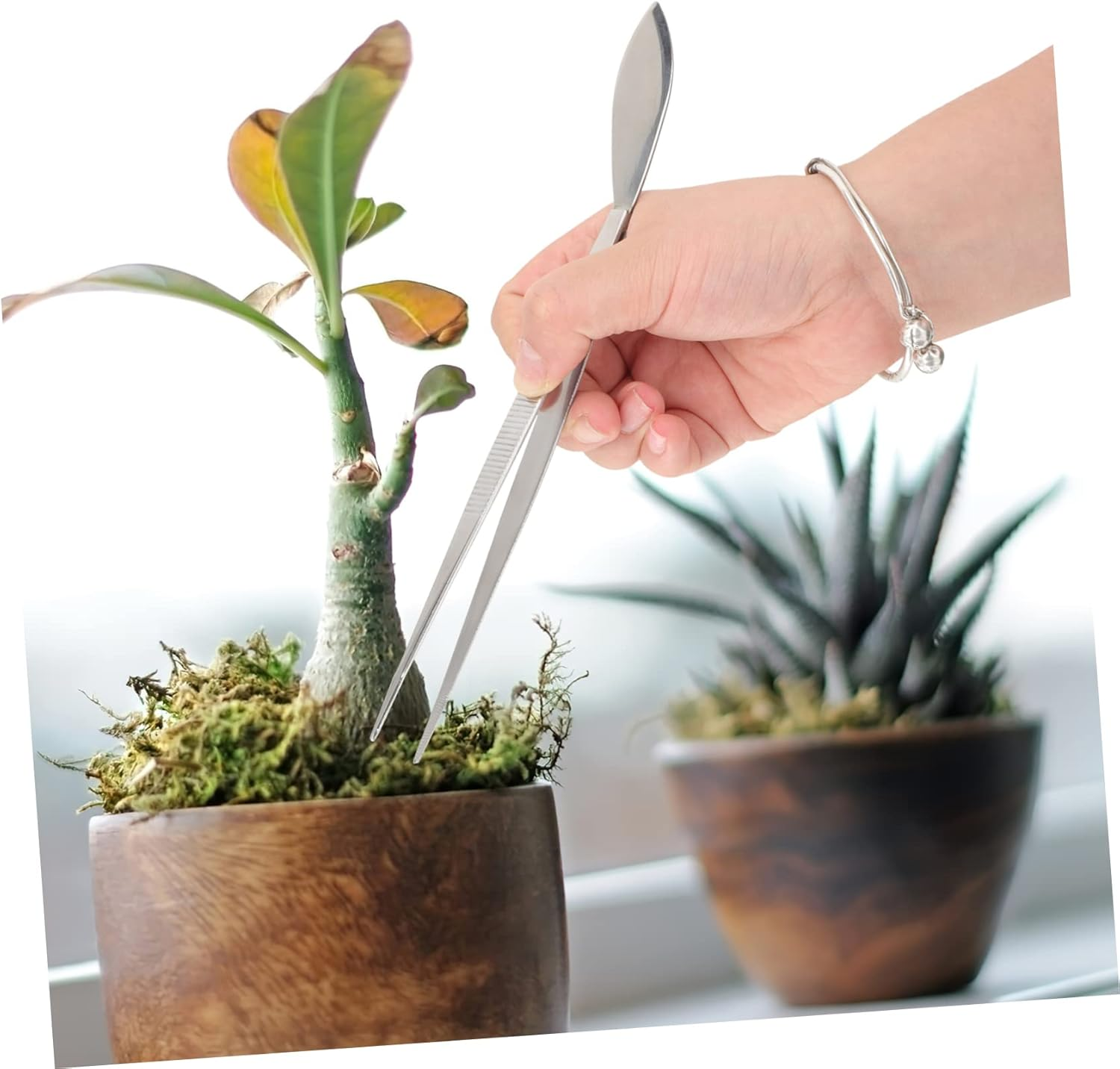 Milisten Stainless Steel Bonsai Tweezers with Ergonomic Handle and Spatula Durable Gardening Tool for Moss Maintenance Plant Pruning and Potted Plant Care Compact Crafting Tweezer For