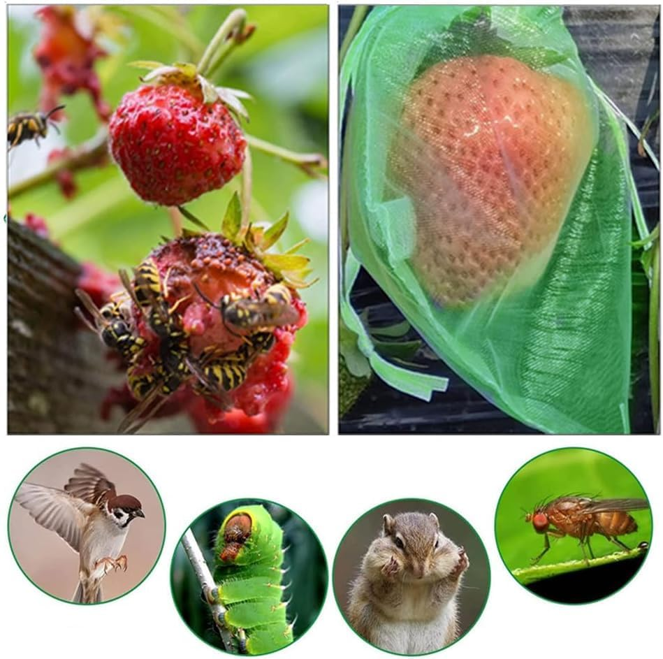 50 Pcs Fruit Protection Bags,Ladiz 5.9 * 7.8Inch Reusable Mesh Drawstring Protectors Bag,Netting Bags for Fruit Trees Plants Vegetables to Protect from Pest Birds and Insects (Green) image number 4