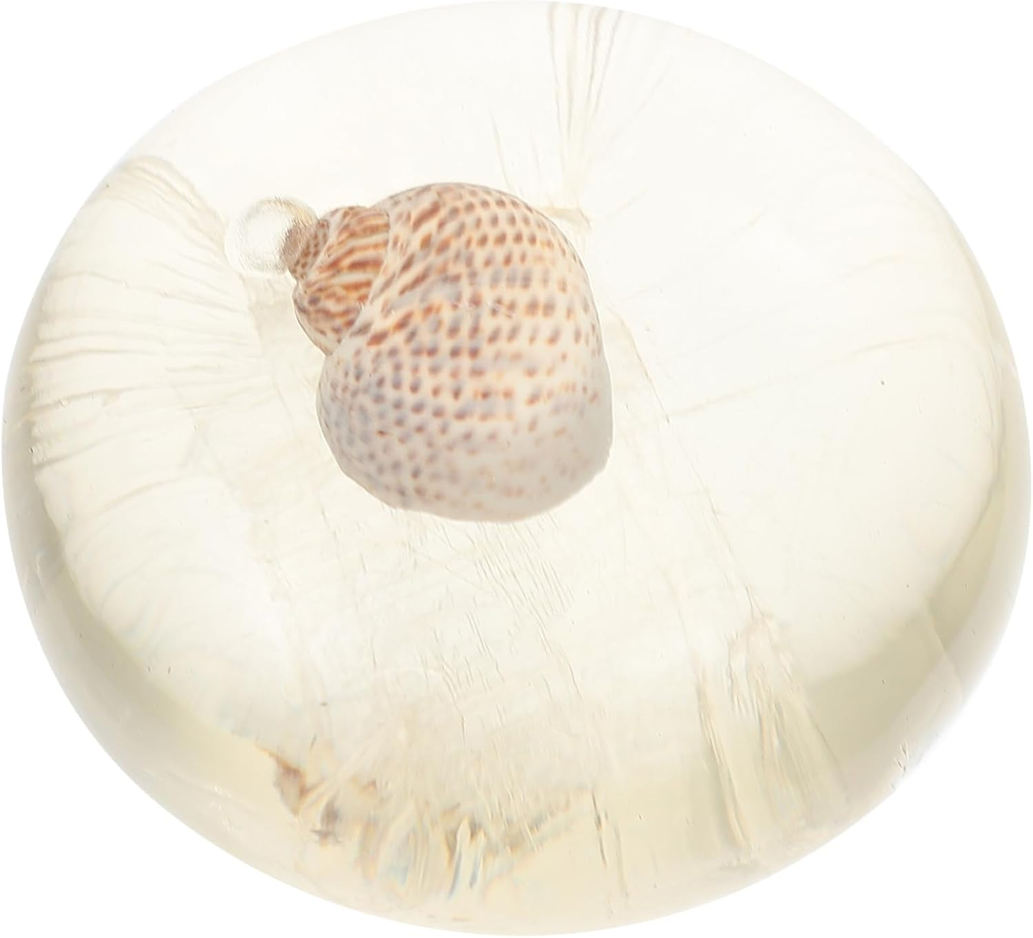 FOYTOKI Hydrating Acid Soap Gentle Cleansing Bar Glycerin Formula Ocean Theme Face Body image number 1