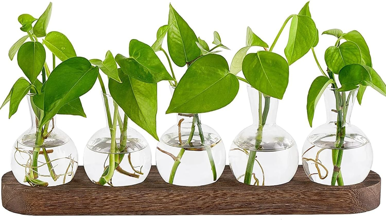 Desktop Plant Propagation Stations, Clear Cylinder Glass Foldable Vase Test Tube with Wooden Stand,Propagation Station,Gifts for Plant Lovers,5 Vases