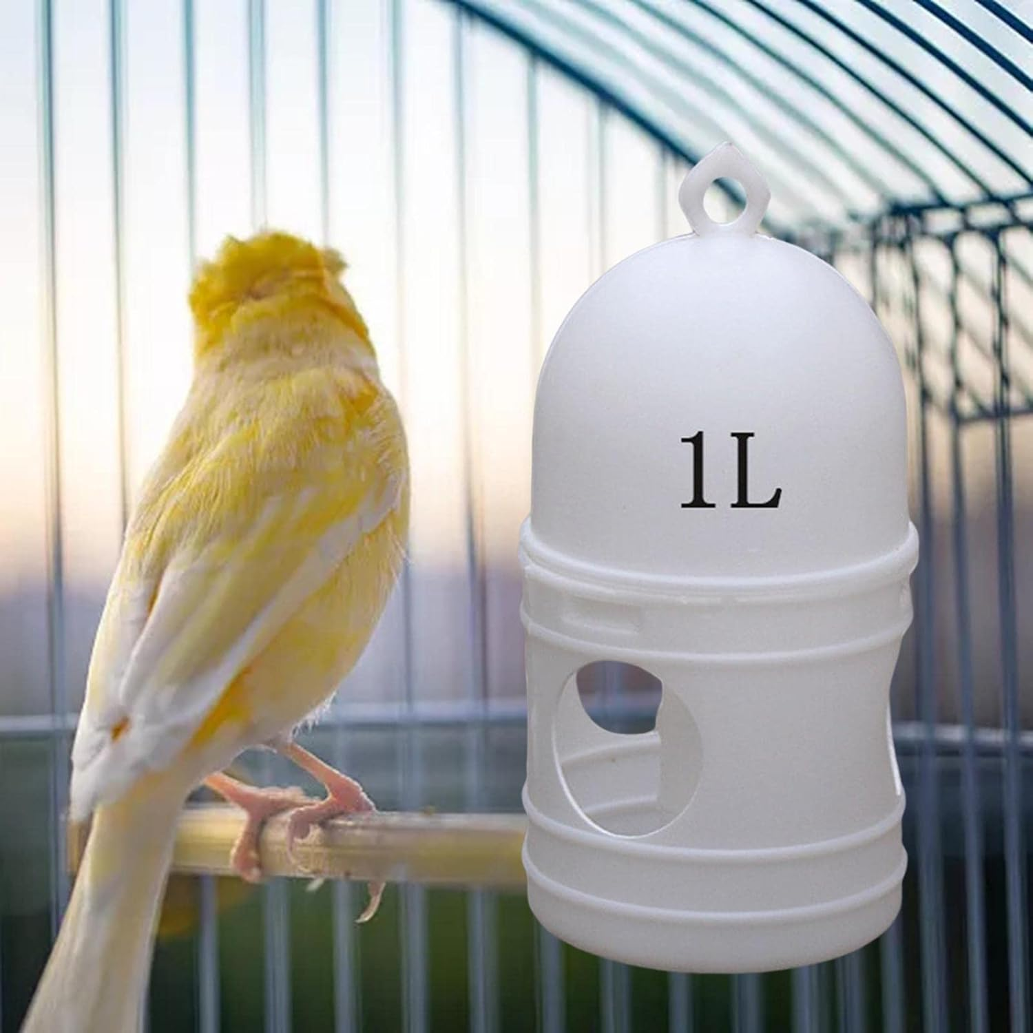 1L Pigeon Water Dispenser Bird Drinker Automatic Bird Water Feeder White, 16X12Cm image number 5