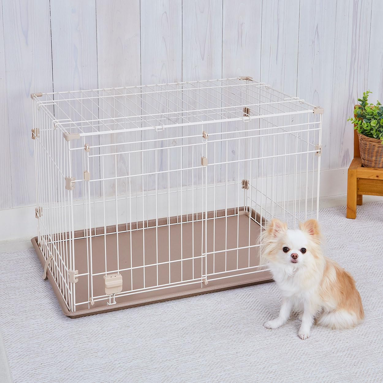 Add.Mate Dog Circle, Basic Puppy Circle, Natural image number 3