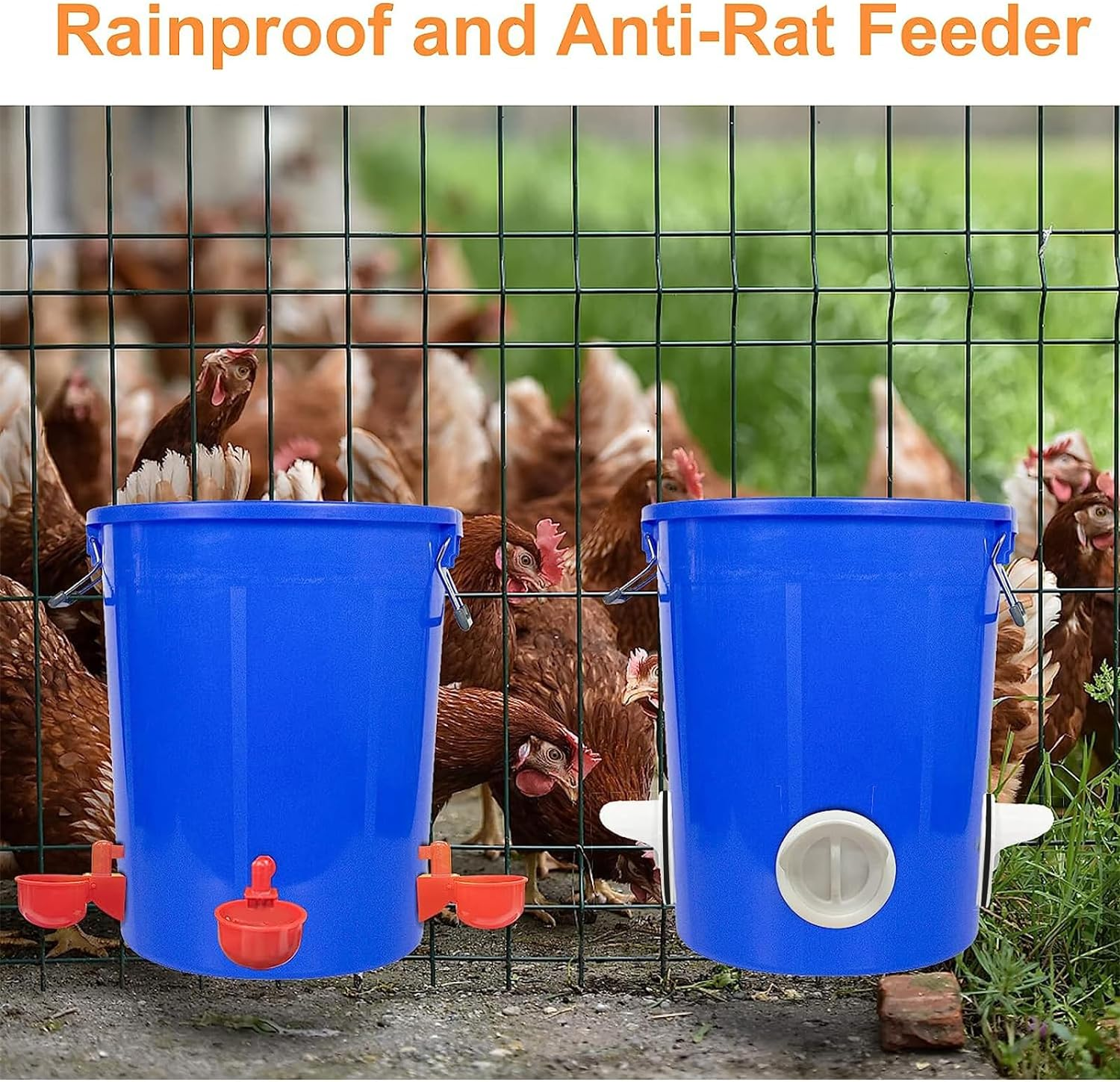Chicken Feeder and Chicken Water Cups, Automatic 6 Pcs Feeders Port and 6 Pcs Water Cups, Rodent Proof Rain Proof Poultry Feeder Kit for DIY image number 4