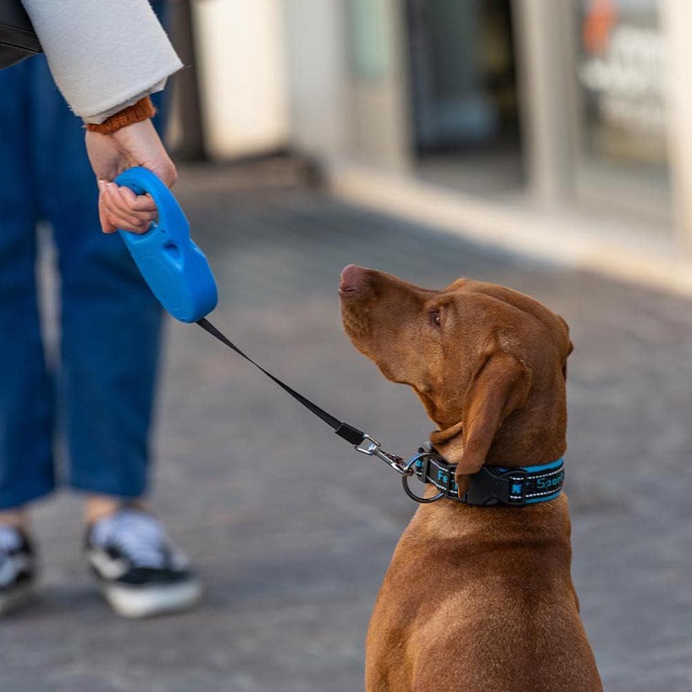 Ferplast Flippy One Tape Dog Leash, Blue, Medium image number 5