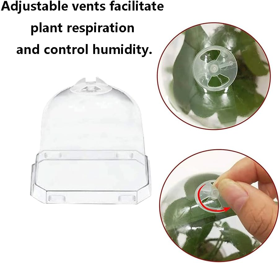 Sagasave 12 Sets Plants Nursery Pot, 15.5Cm Plastic Square Nursery Flower Pots with Humidity Dome and Tray, Small Flower Plant Container for Seedlings, Cuttings, Transplanting (Transparent) image number 3