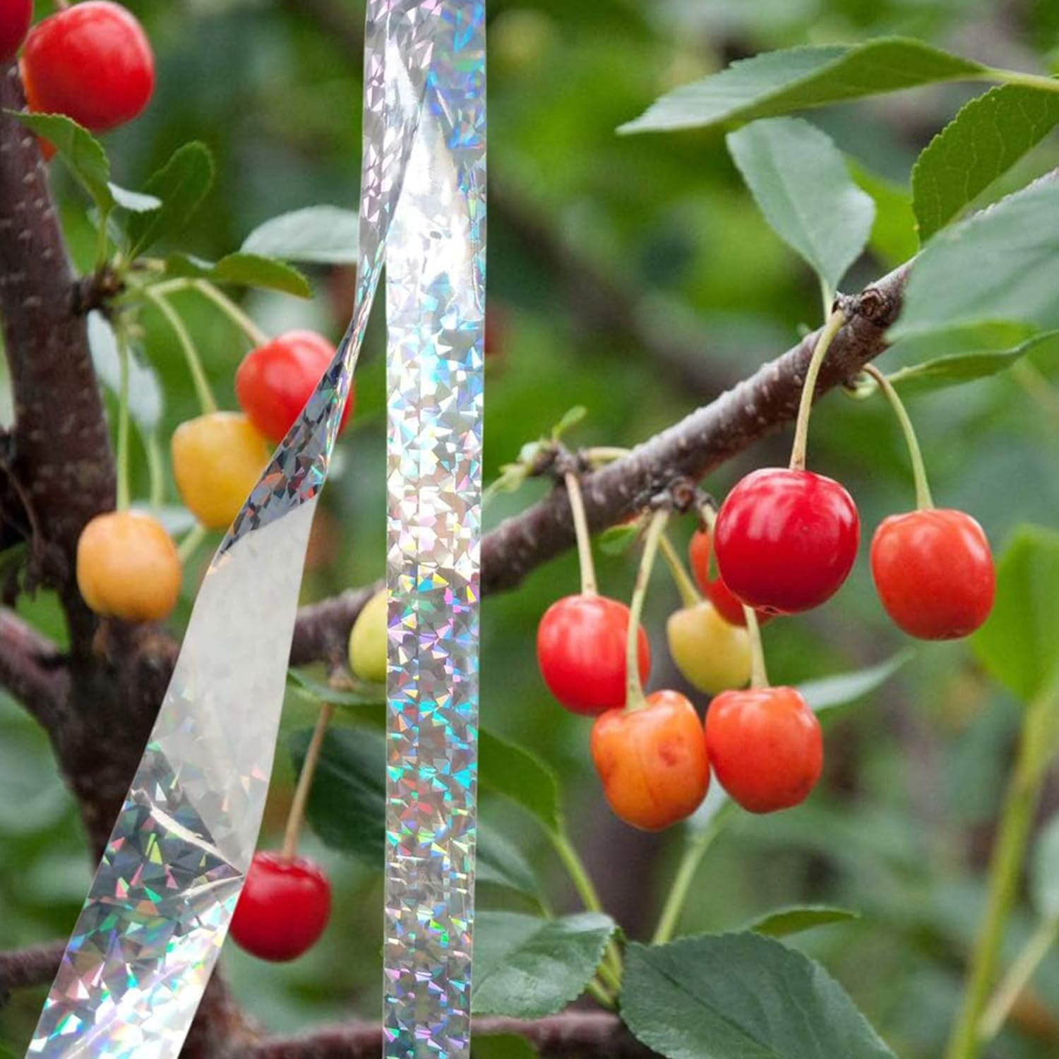 Lyfengdeam 2 Rolls Bird Scare Reflective Ribbon Flashing Tape Holographic Reflective Double-Sided Yard Fence Garden Porch Decoration Accessories Keep Away Flashing Ribbon for Pigeons Hawk Woodpeckers image number 2