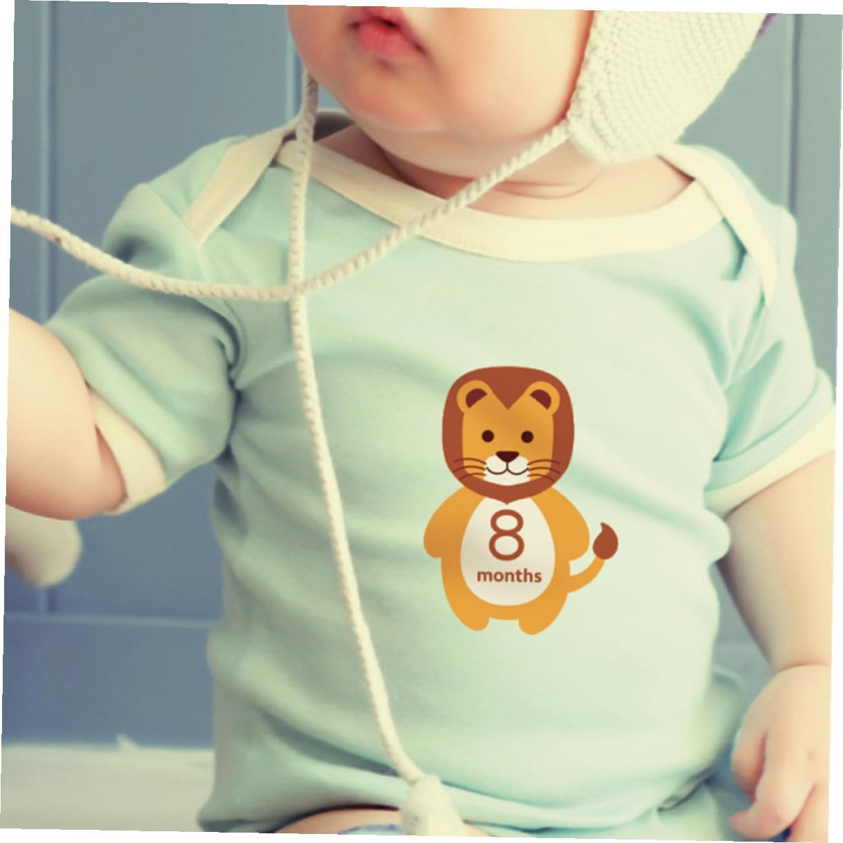 SHOWERORO 12Pcs Monthly Stickers Self-Adhesive Milestone Decals Animal Cartoon Design for Newborn Photo Props