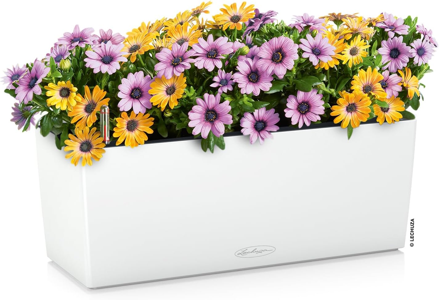 Lechuza 15670 Balconera Color 50 Indoor and Outdoor Use, 20" X 7" X 7", Self Watering Planter, Us50, White Matte image number 5