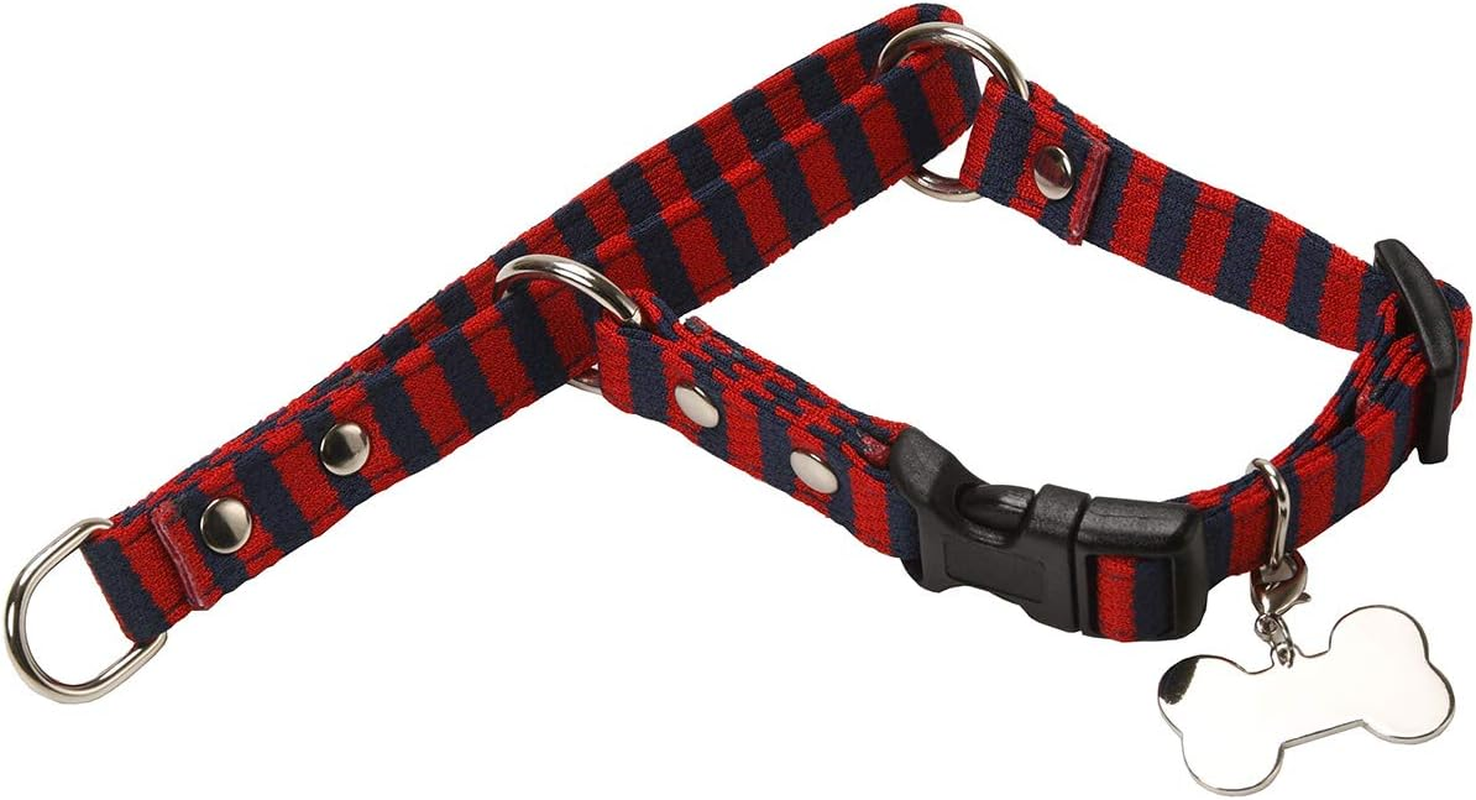Dog Amoc Collar Red M Size