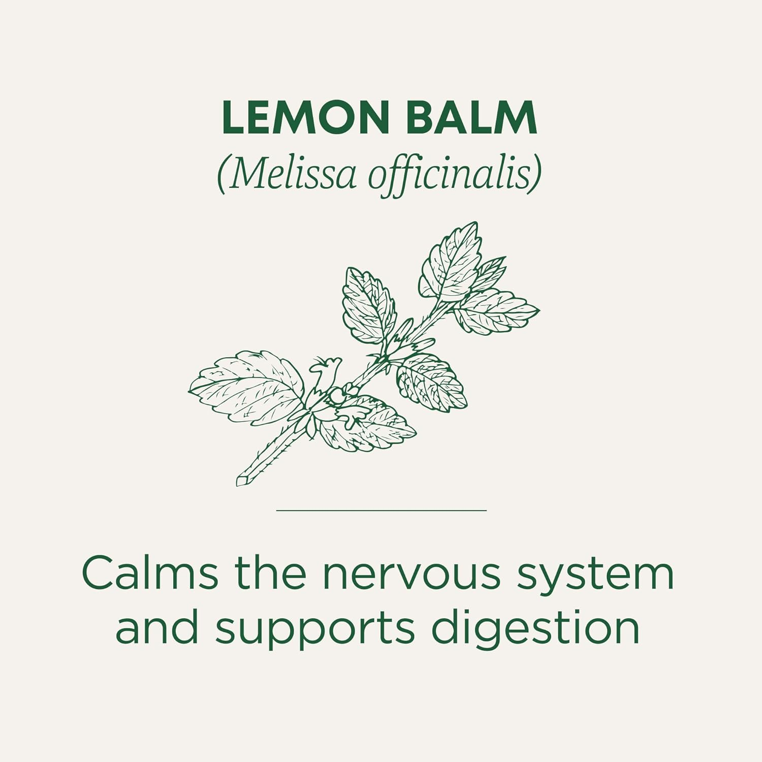 Traditional Medicinals Organic Lemon Balm Herbal Tea, Calming and Supports Digestion, (Pack of 1) - 16 Tea Bags