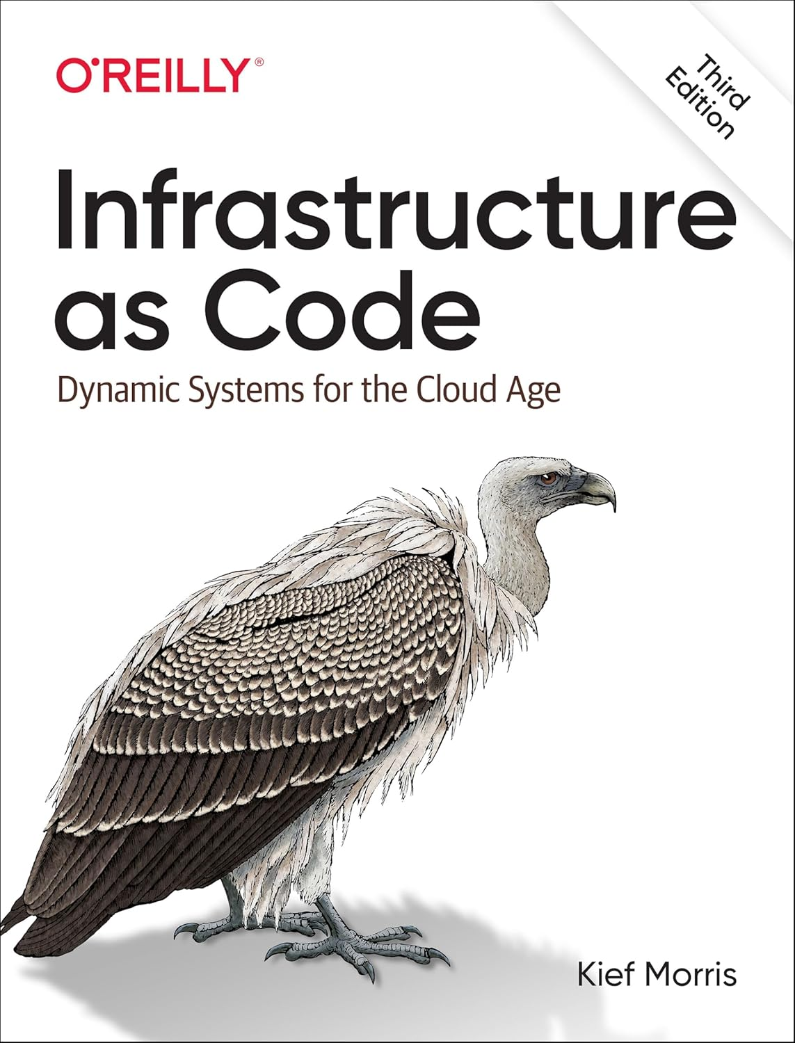 Infrastructure as Code: Designing and Delivering Dynamic Systems for the Cloud Age