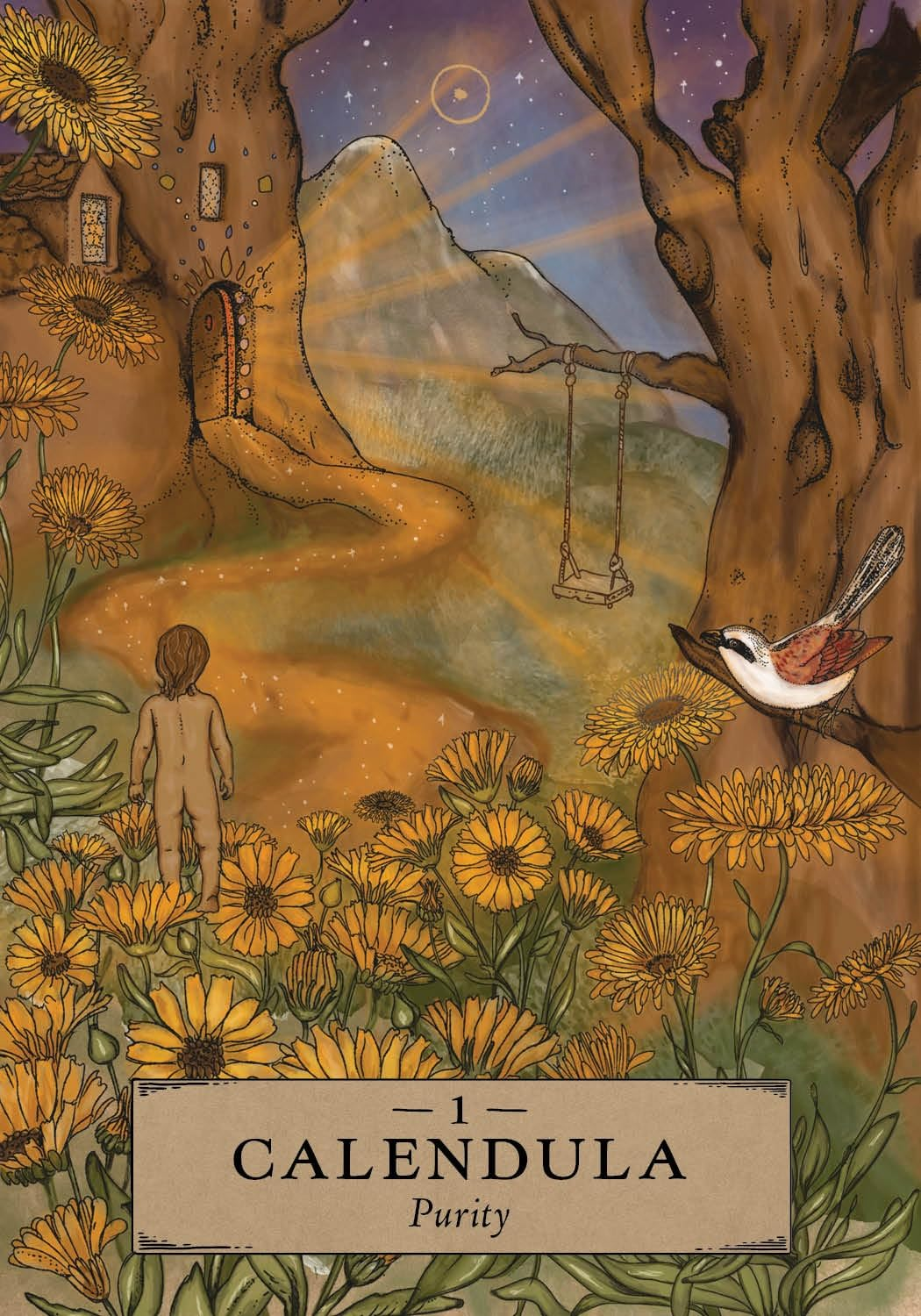 The Herbal Astrology Pocket Oracle: a 55-Card Deck and Guidebook image number 1