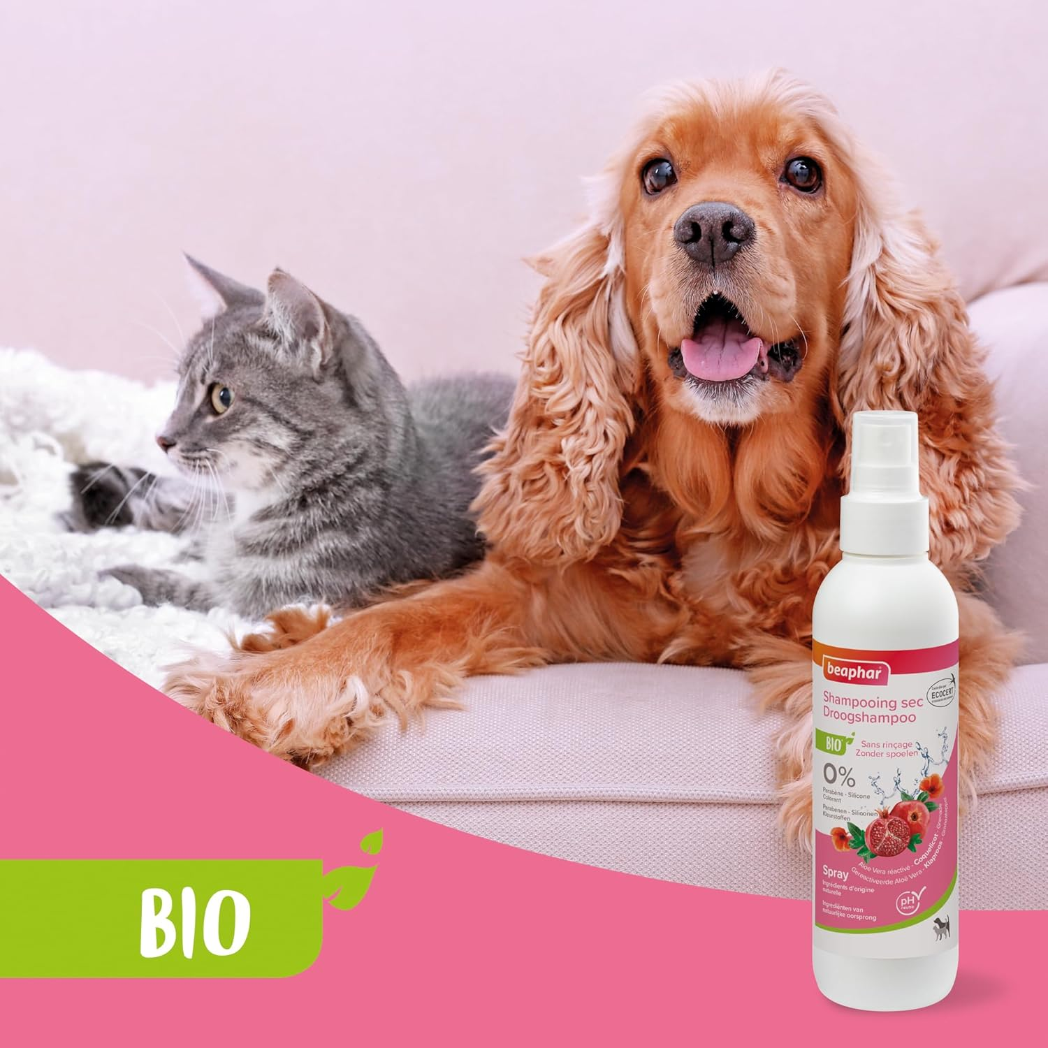 Beaphar ECOCERT Dry Shampoo for Dogs and Cats - Contains Aloe Vera, Bourretch Oil and Organic Mint - Ph Neutral - No Parabens/Silicone/Colours/Alcohol - 200 Ml image number 5