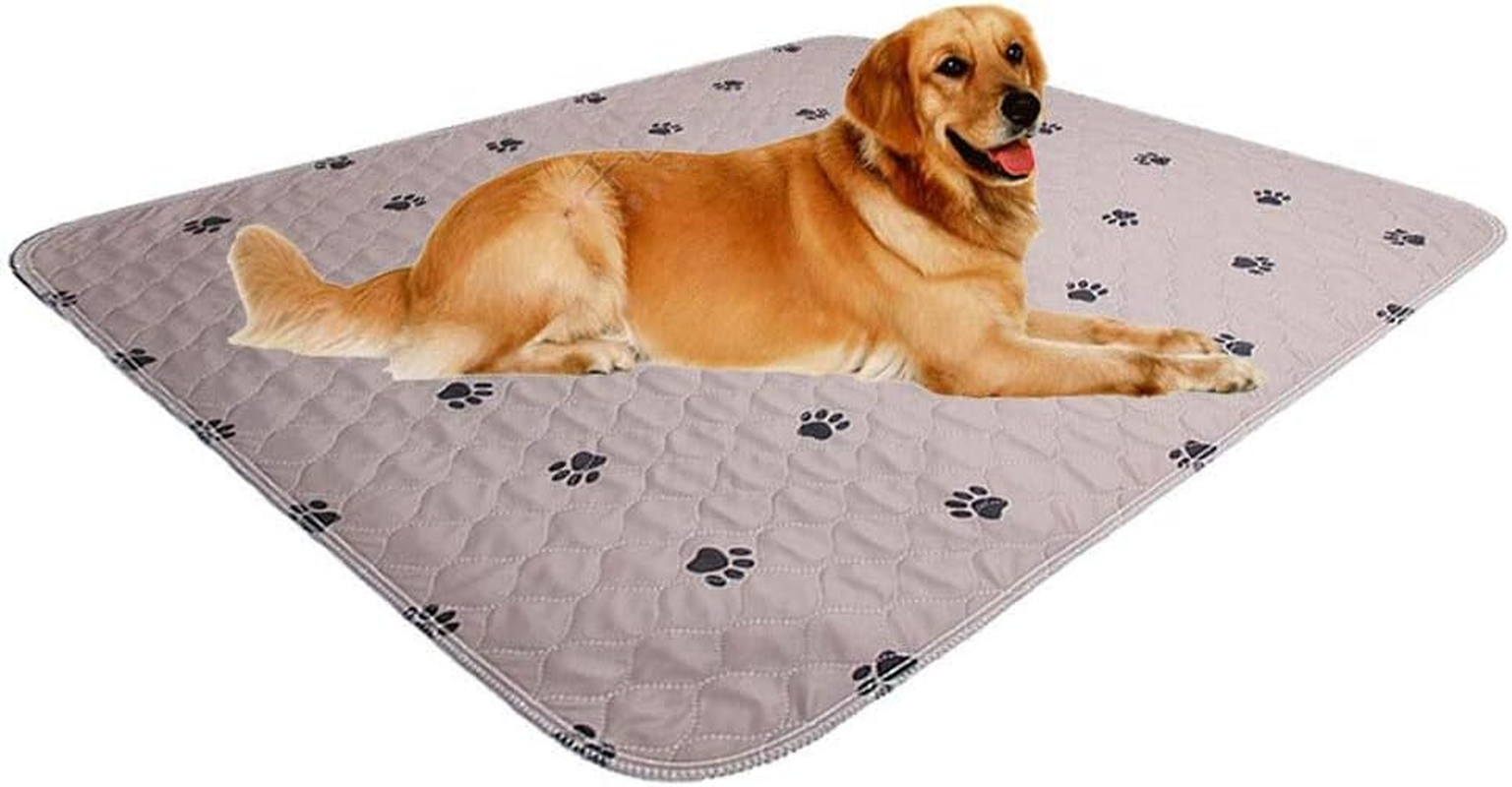 Sincopet Machine Washable Dog Pee Pads/Puppy Pads/Reusable Dog Training Pads/Large Dog Pee Pad (31X36) 2 Pack/Waterproof Pet Pads for Dog Bed Mat/Fast Absorbing Whelping Pads image number 6