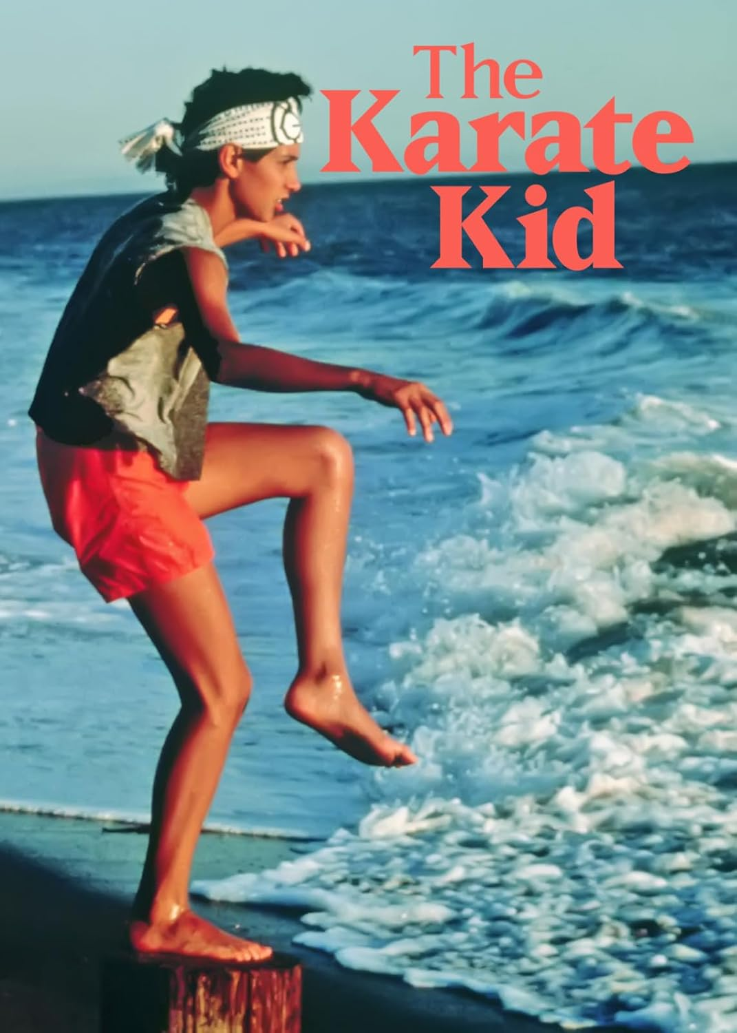 The Karate Kid image number 2