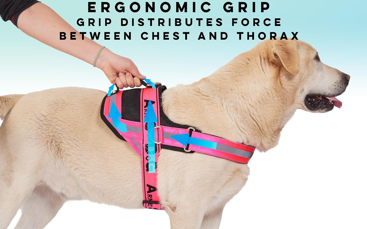 Dog Harness with 3 Metal Ring Anchors to Hold Your Dog&rsquo;S Chest or Thorax and Not Suffocate Its Neck. Attaches Easily with a Single Quick Release. (Pink, M) image number 3