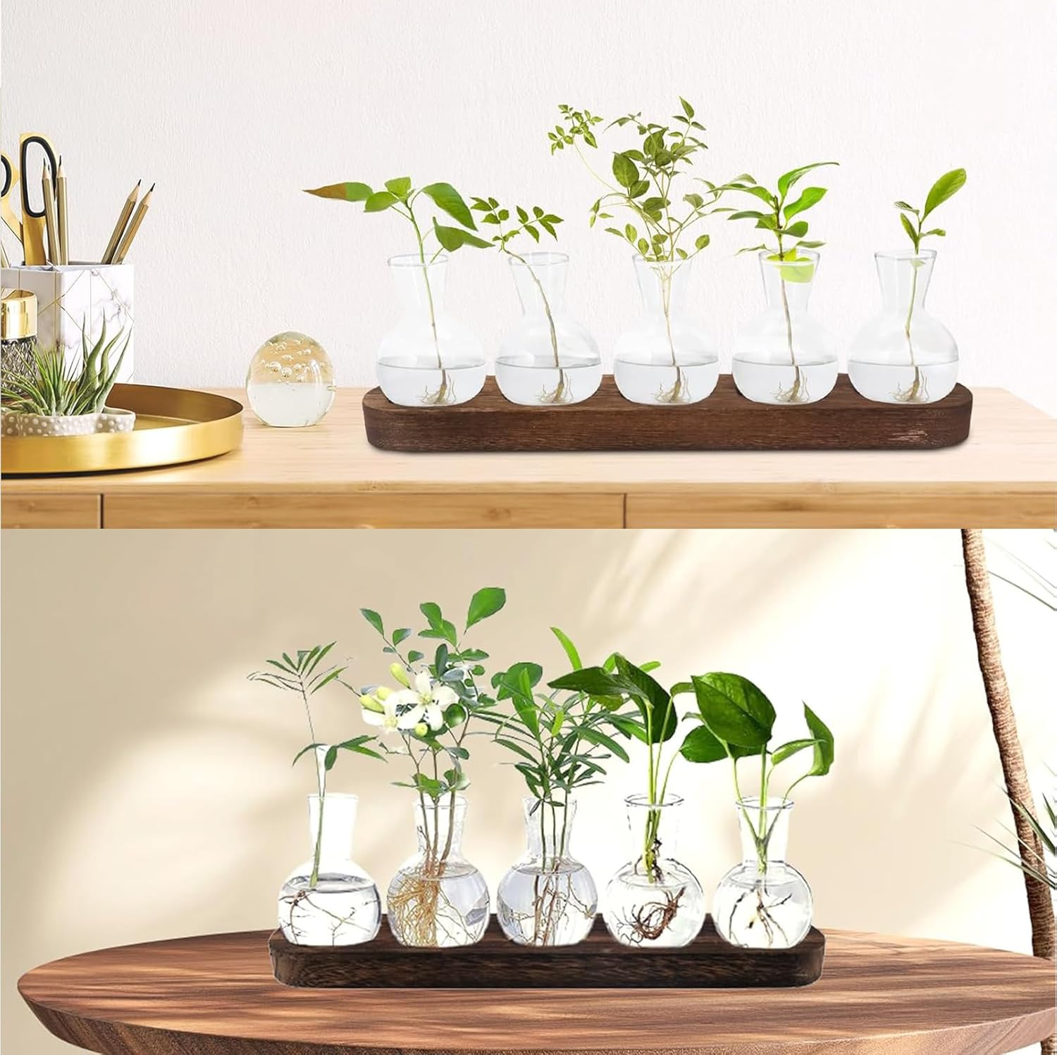 FUNNTY Desktop Plant Propagation,With Wooden Stand Glass Vase Hydroponic Planter Gifts Plant Terrarium for Plant Lovers Indoor Home Garden Office Decoration (5 Glass Vase &1 Tray Display) image number 1