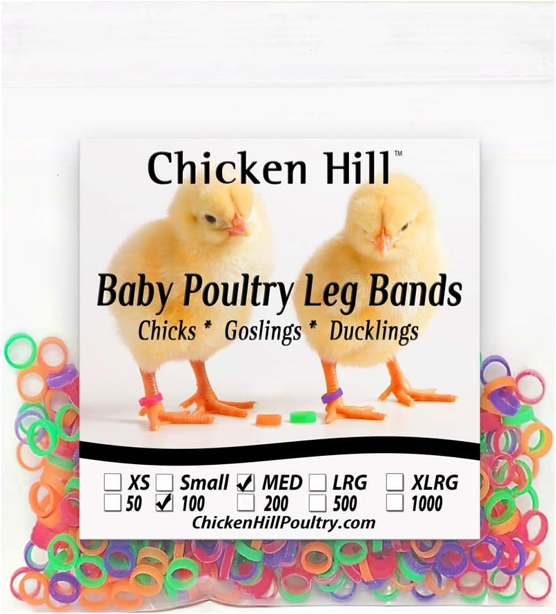Baby Poultry Leg Bands 1/4 Medium Chick (100) image number 1