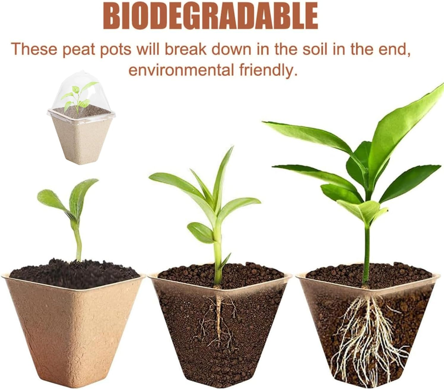 Xinghonyac 20 Pcs Seedlings Pots, Degradable Garden Germination Nursery Pot with Vent Humidity Lid, Eco-Friendly Peat Pots, Square Seed Starter Pots for Plants, Flowers, Vegetables (8Cm) image number 6